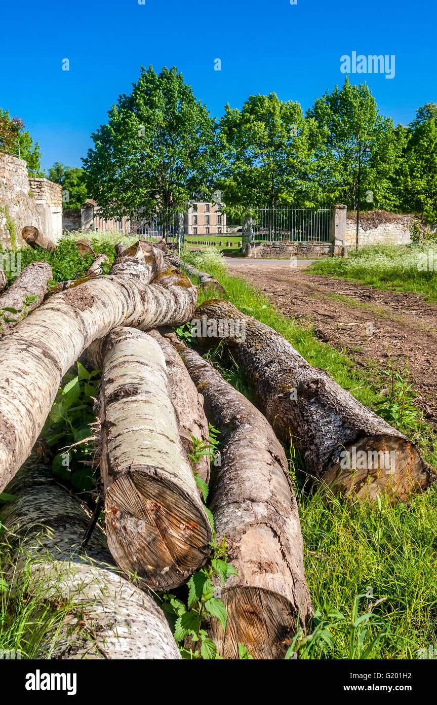 Palo di legno / abbattuto tronchi di alberi - Francia. Foto Stock