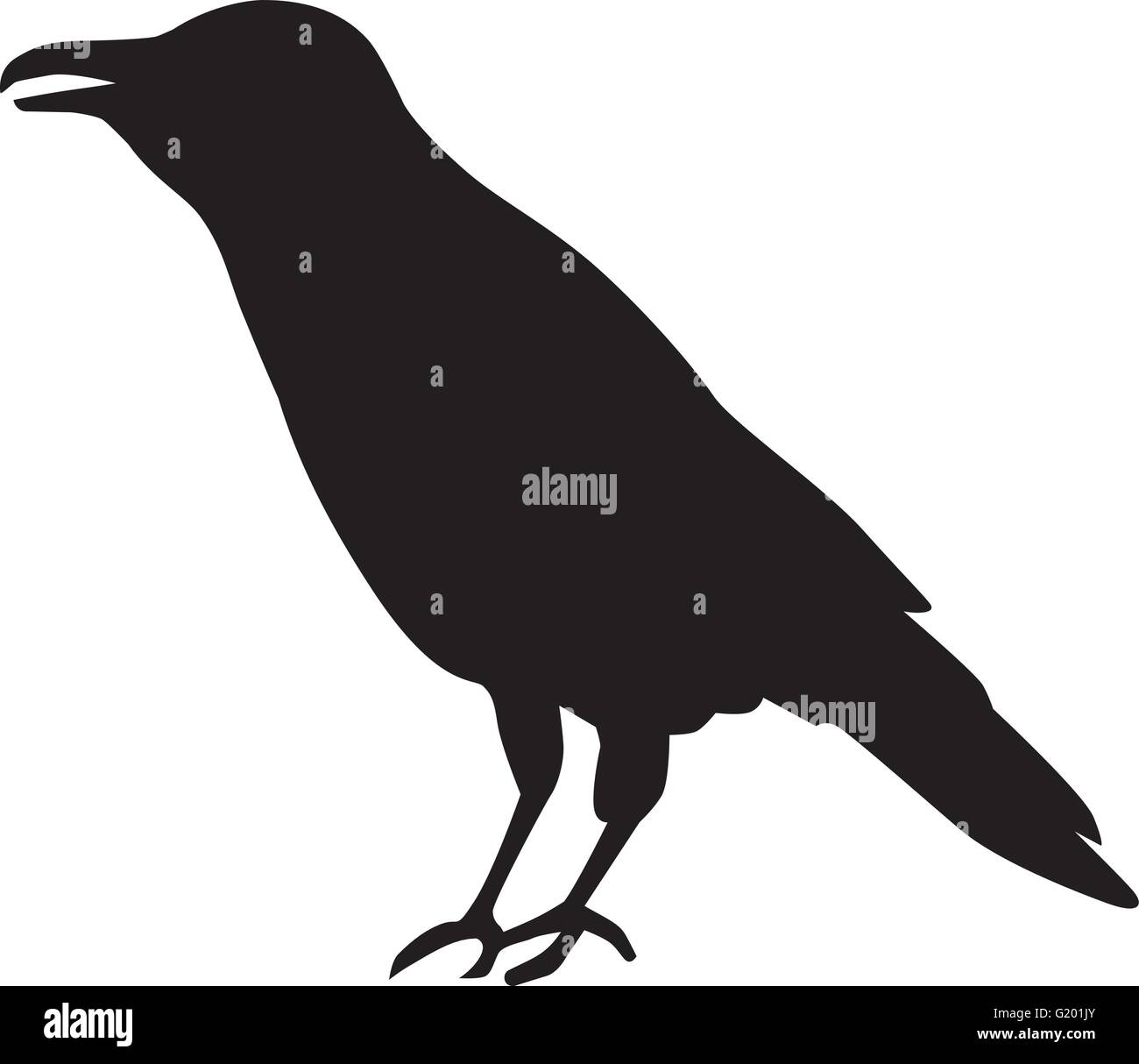 Siluetta del corvo Illustrazione Vettoriale