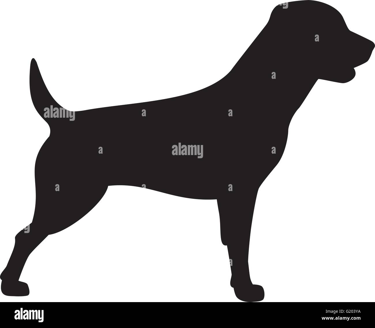 Rottweiler icona del cane Illustrazione Vettoriale