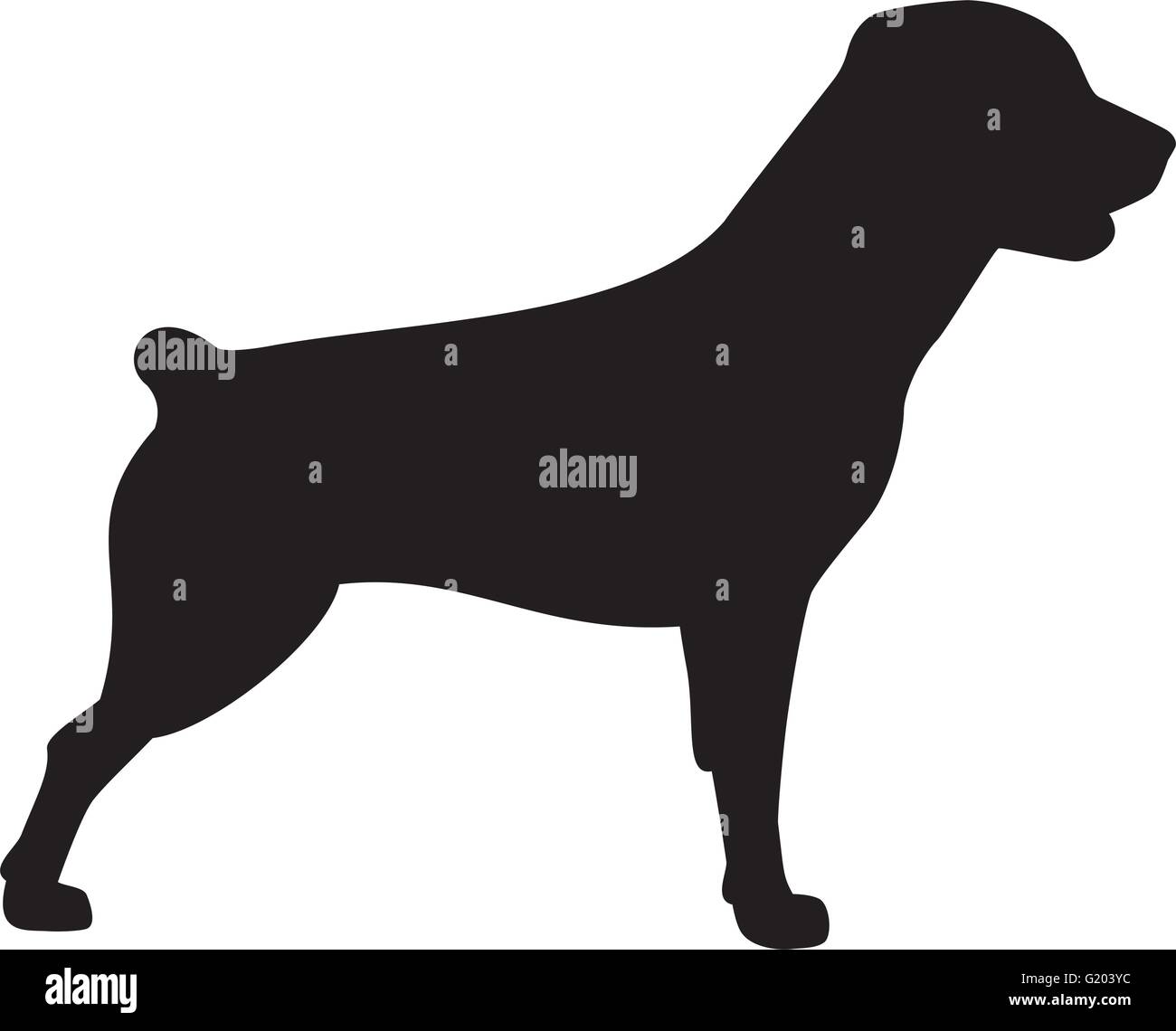 Rottweiler cane icona con coda corta Illustrazione Vettoriale