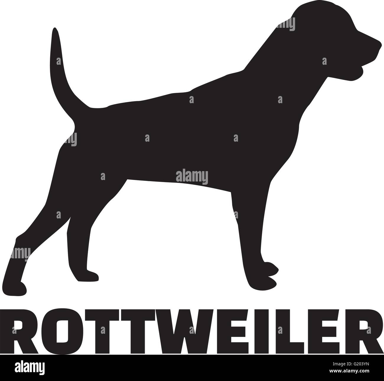 Rottweiler con il nome di razza Illustrazione Vettoriale