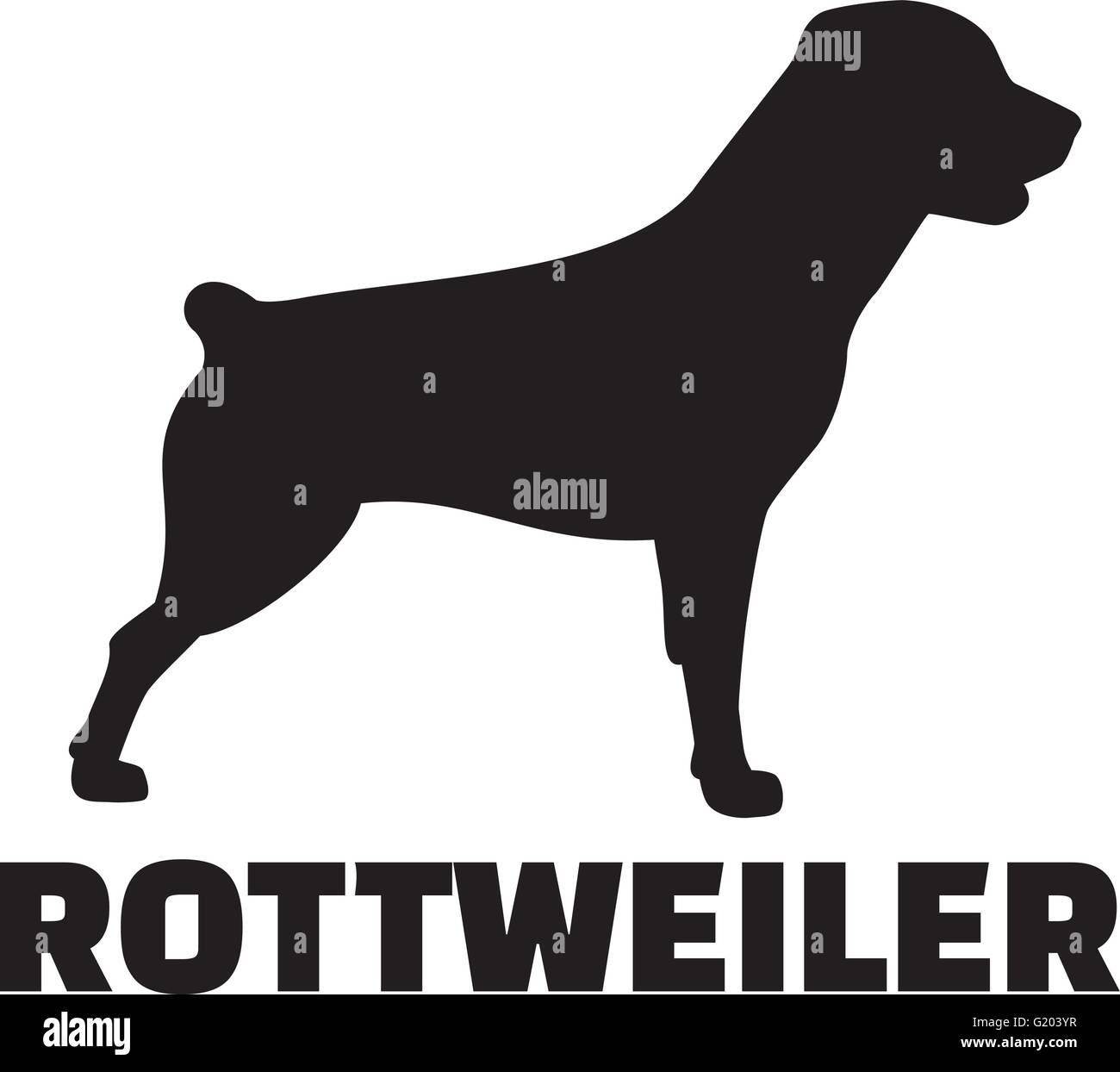 Rottweiler con il nome di Razza a coda corta Illustrazione Vettoriale
