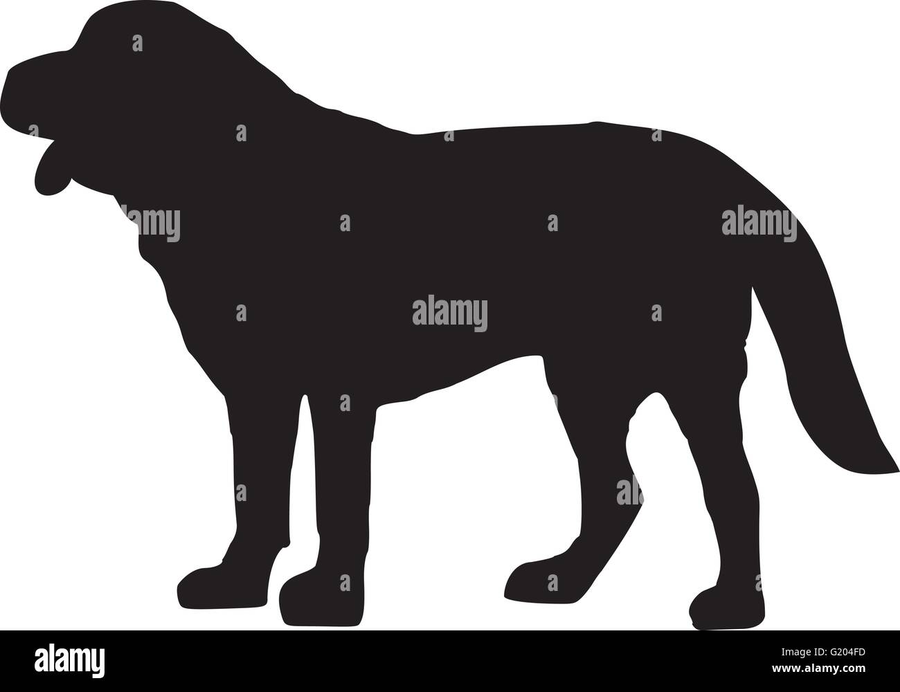 San Bernardo cane Illustrazione Vettoriale