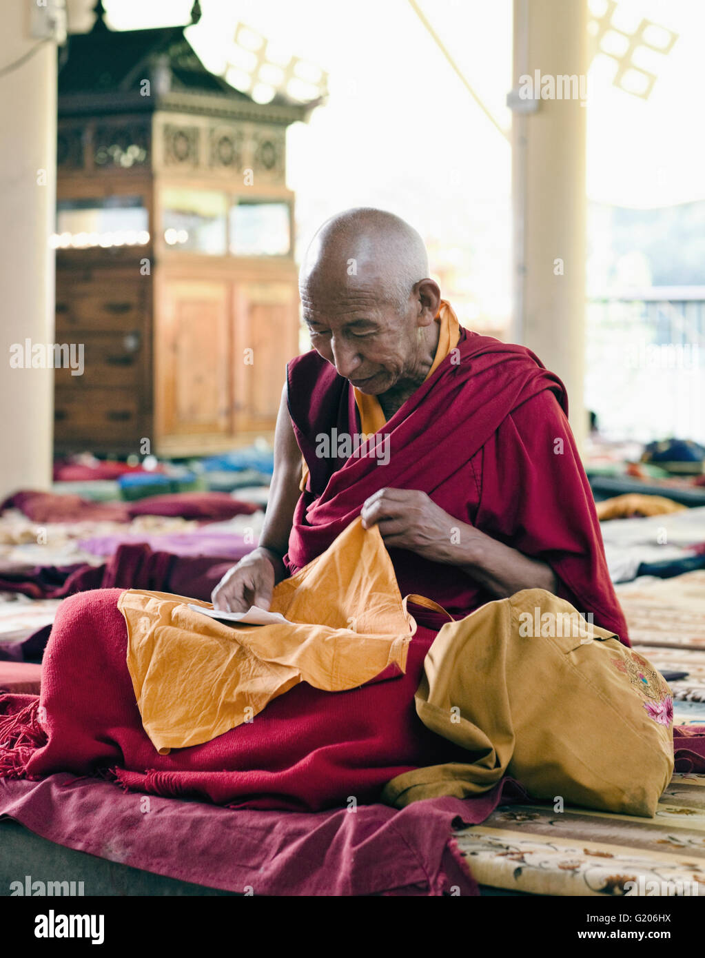 Un monaco tibetano prega prima di una giornata di insegnamenti di Sua Santità il Dalai Lama al Tsuglagkhang, il Dalai Lama il tempio in India. Foto Stock