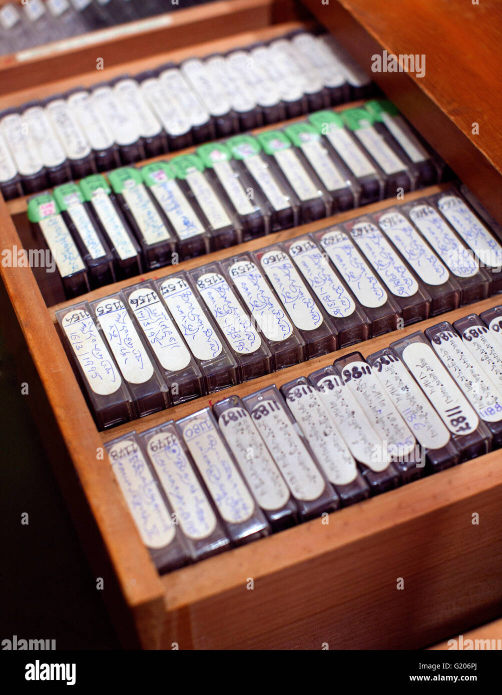 Governo Tibetano Biblioteca e Archivio collezione. Foto Stock