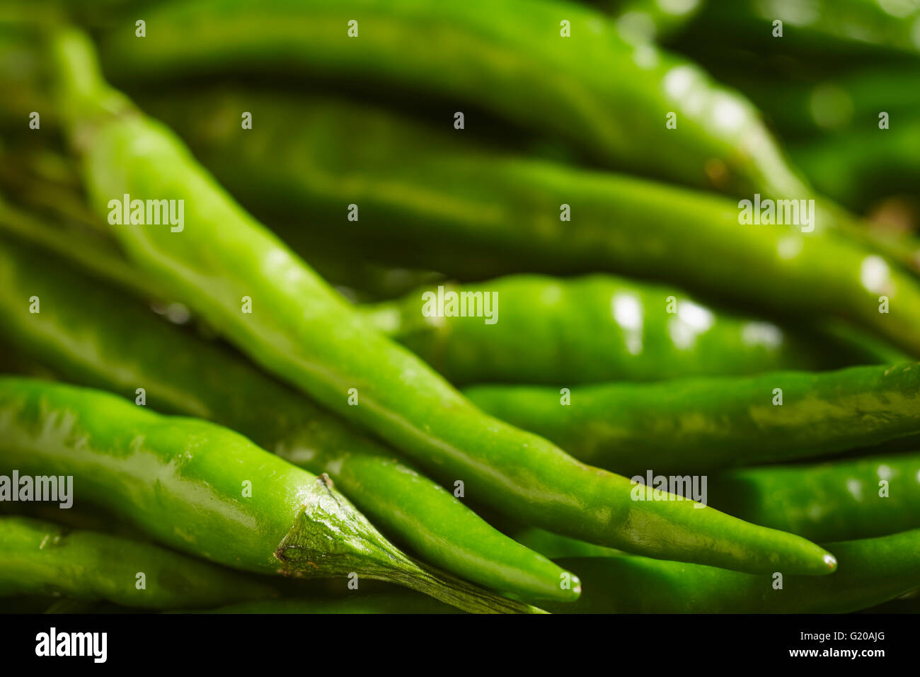 Piccoli peperoncini verdi, talvolta chiamato 'Thai' peperoncini rossi Foto Stock