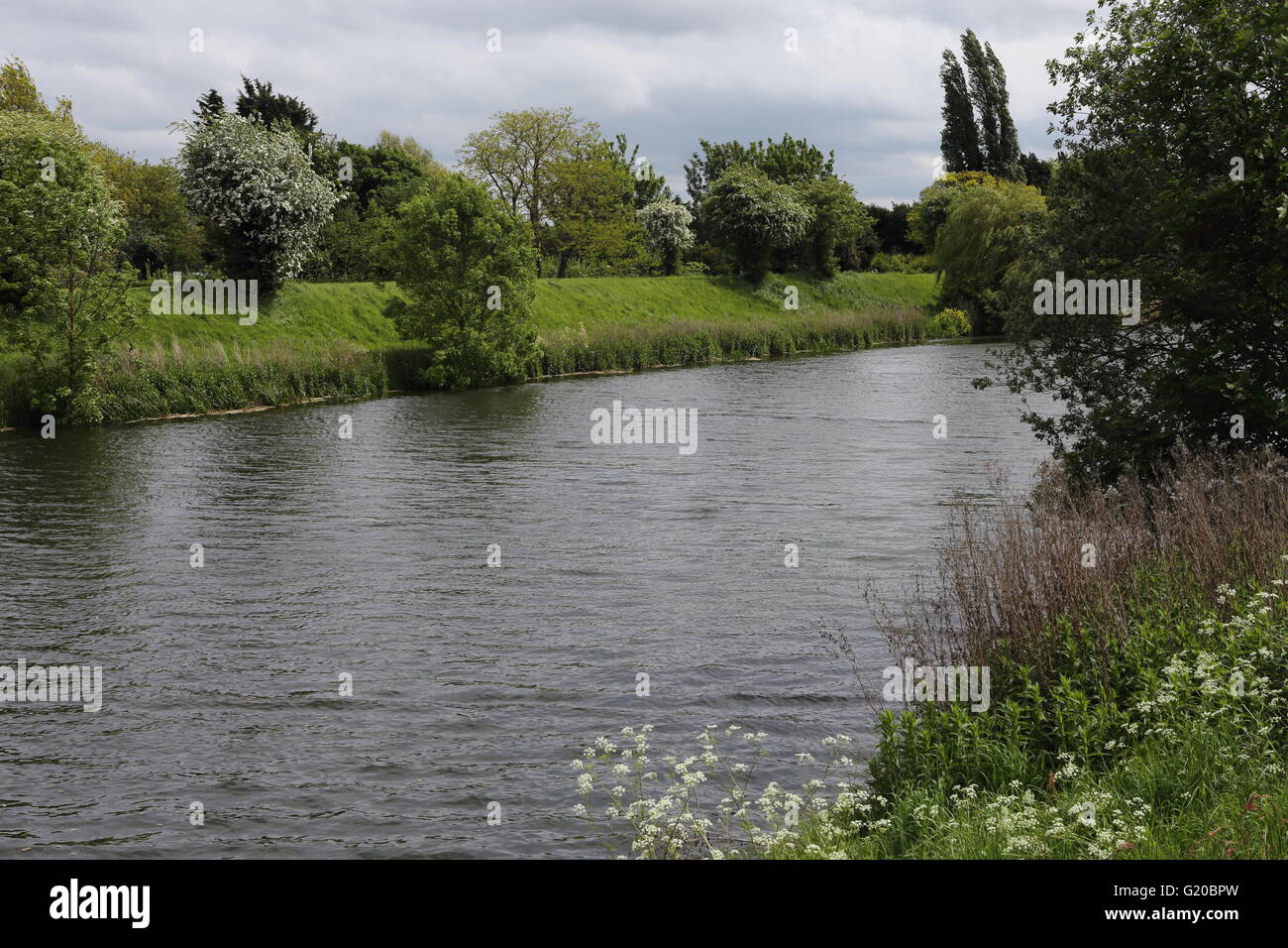 Il fiume o scarico in Spalding Lincolnshire UK Foto Stock