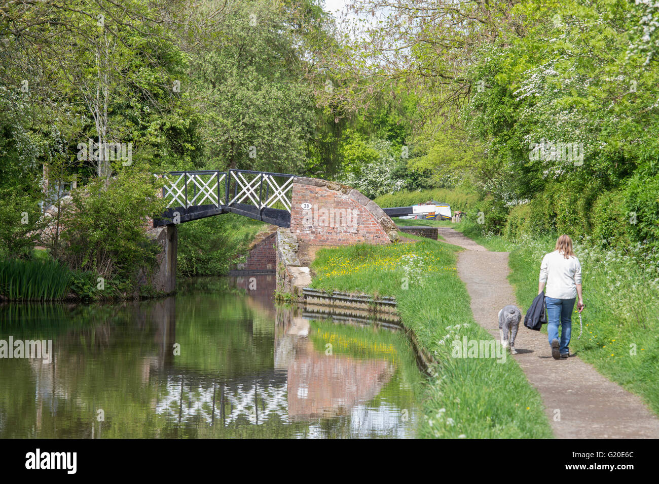 Uno degli storici ponti diviso in Stratford upon Avon Canal vicino Lapworth, Warwickshire, Inghilterra, Regno Unito Foto Stock