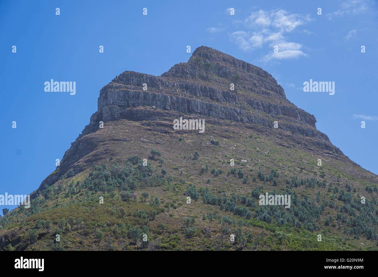 Testa di leoni di montagna è parte della Table Mountain Range in Città del Capo Sud Africa Foto Stock