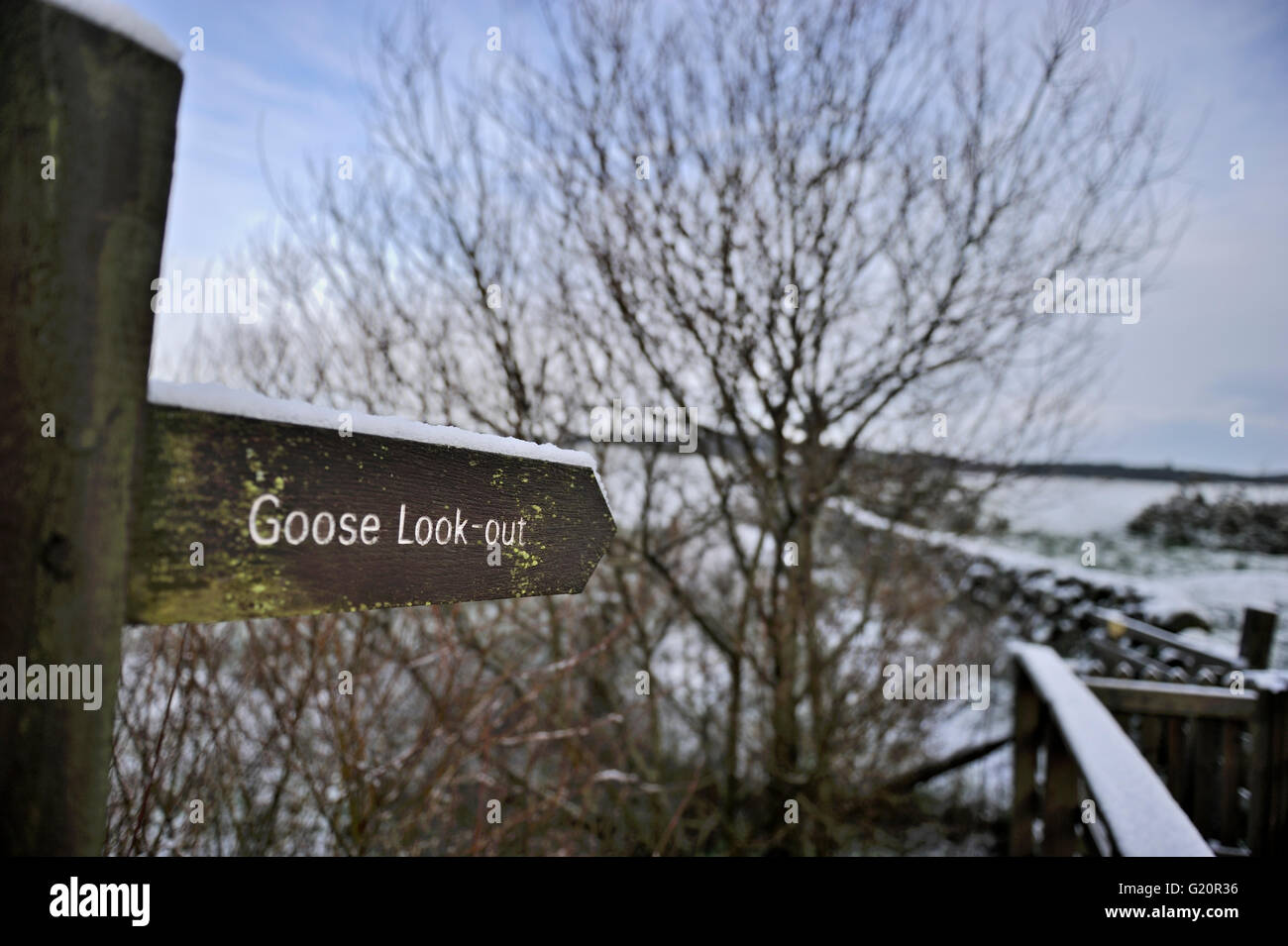 Segno su Ken Dee paludi RSPB riserva a goose piattaforma di osservazione Galloway Scozia Dicembre Foto Stock