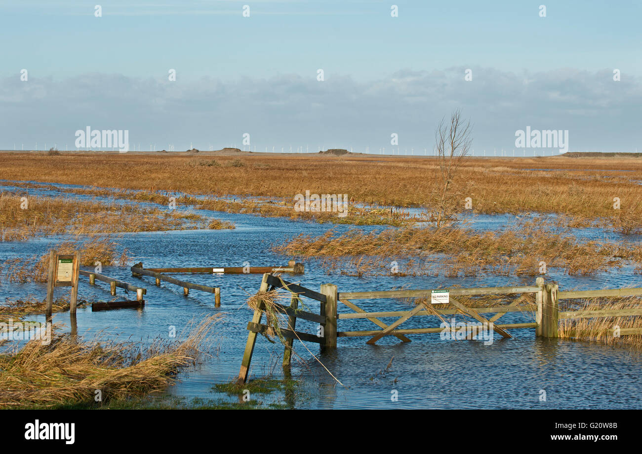 Cley paludi allagata dopo la mareggiata di notte del 5 dicembre 2013 Norfolk, vista lungo la sponda Est Foto Stock