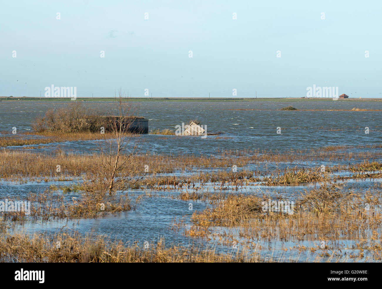Cley paludi allagata dopo la mareggiata di notte del 5 dicembre 2013 Norfolk, vista lungo la sponda Est Foto Stock