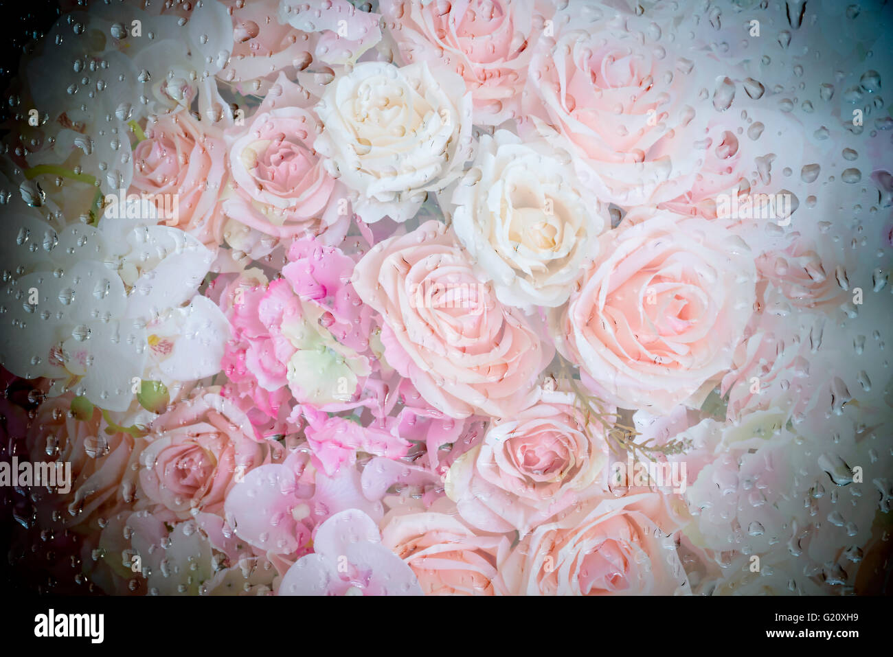 Le gocce di pioggia su una finestra con fiori in background Foto Stock