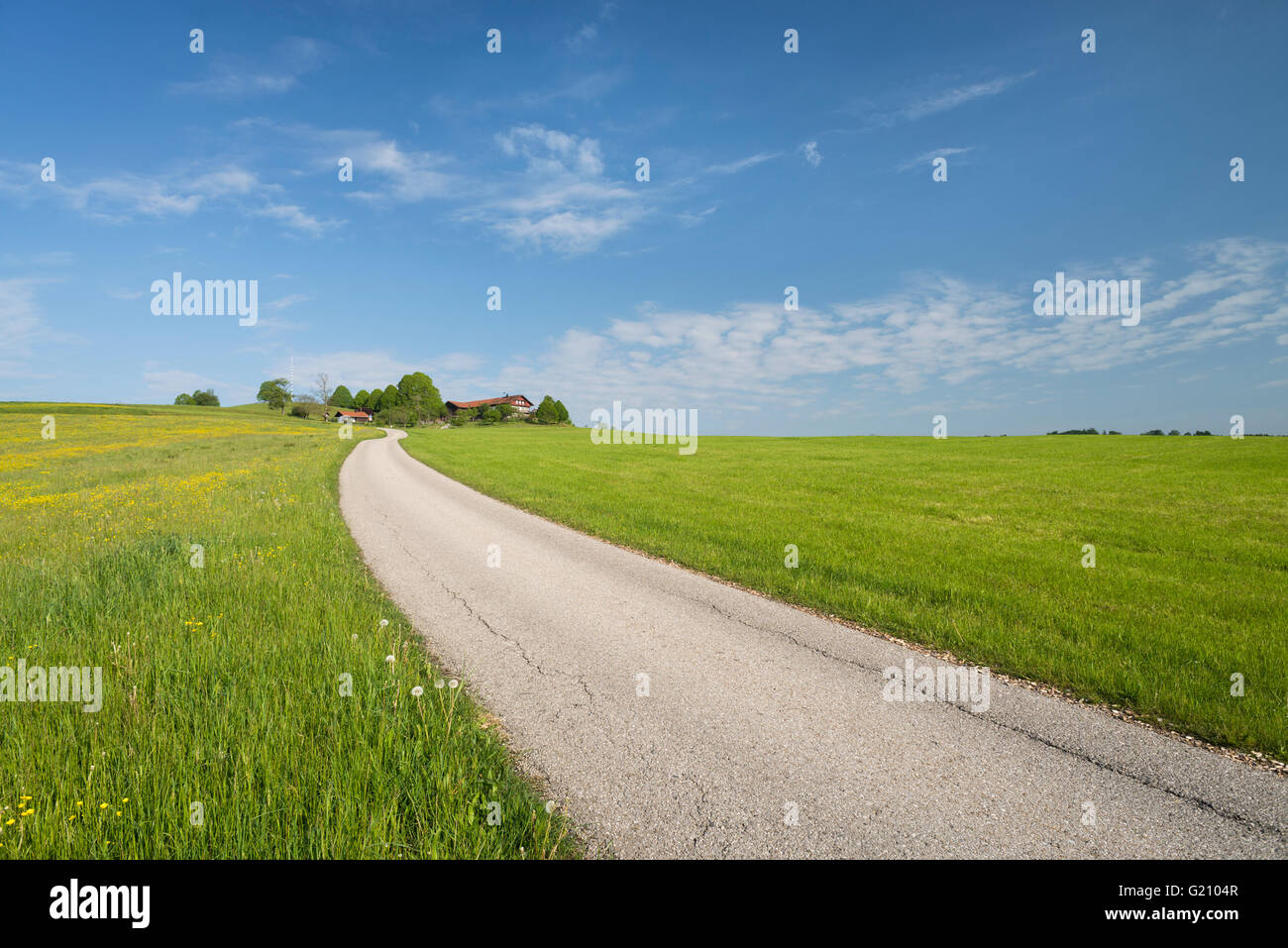 Piccola strada a una fattoria su una collina in Baviera superiore circondata da blooming e prati verdi e cielo blu su una soleggiata mattina di primavera Foto Stock