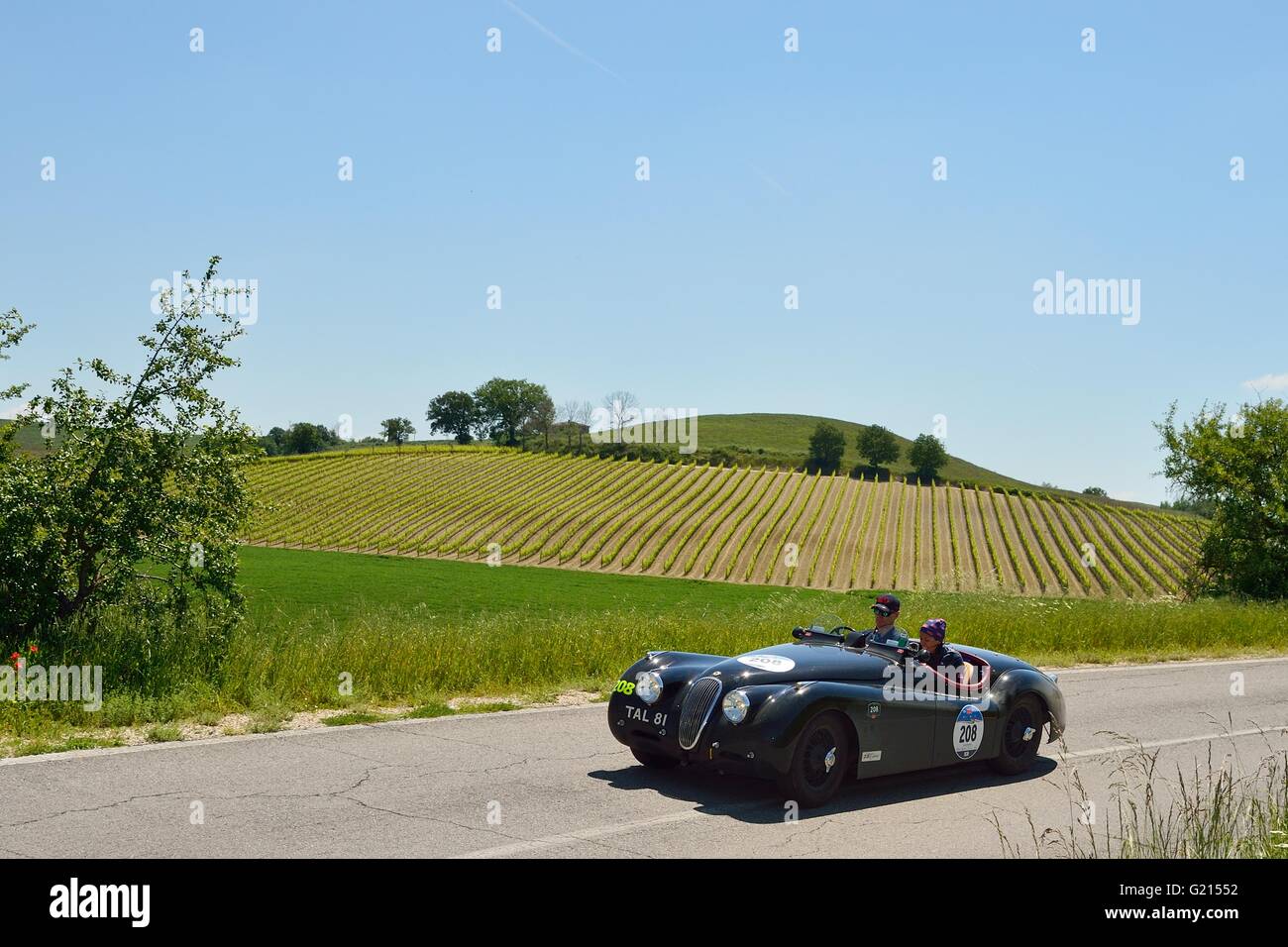 Montalcino, Italia. 21 Maggio, 2016. Un verde Jaguar XK 120 OTS, costruito nel 1950, prende parte alla Mille Miglia auto classica gara in Toscana sulle colline vicino a Montalcino. Roberto Cerruti/Alamy Live News Foto Stock