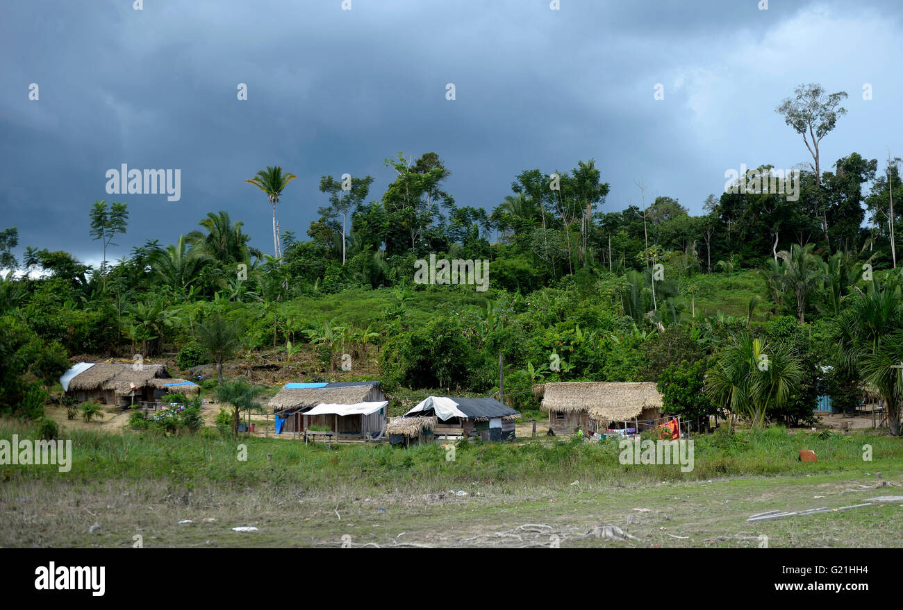 Villaggio indigeno Sawle Muybu, popolo di Mudndururú, fiume Rio Tapajos, la foresta pluviale amazzonica, distretto Itaituba, Pará membro Foto Stock