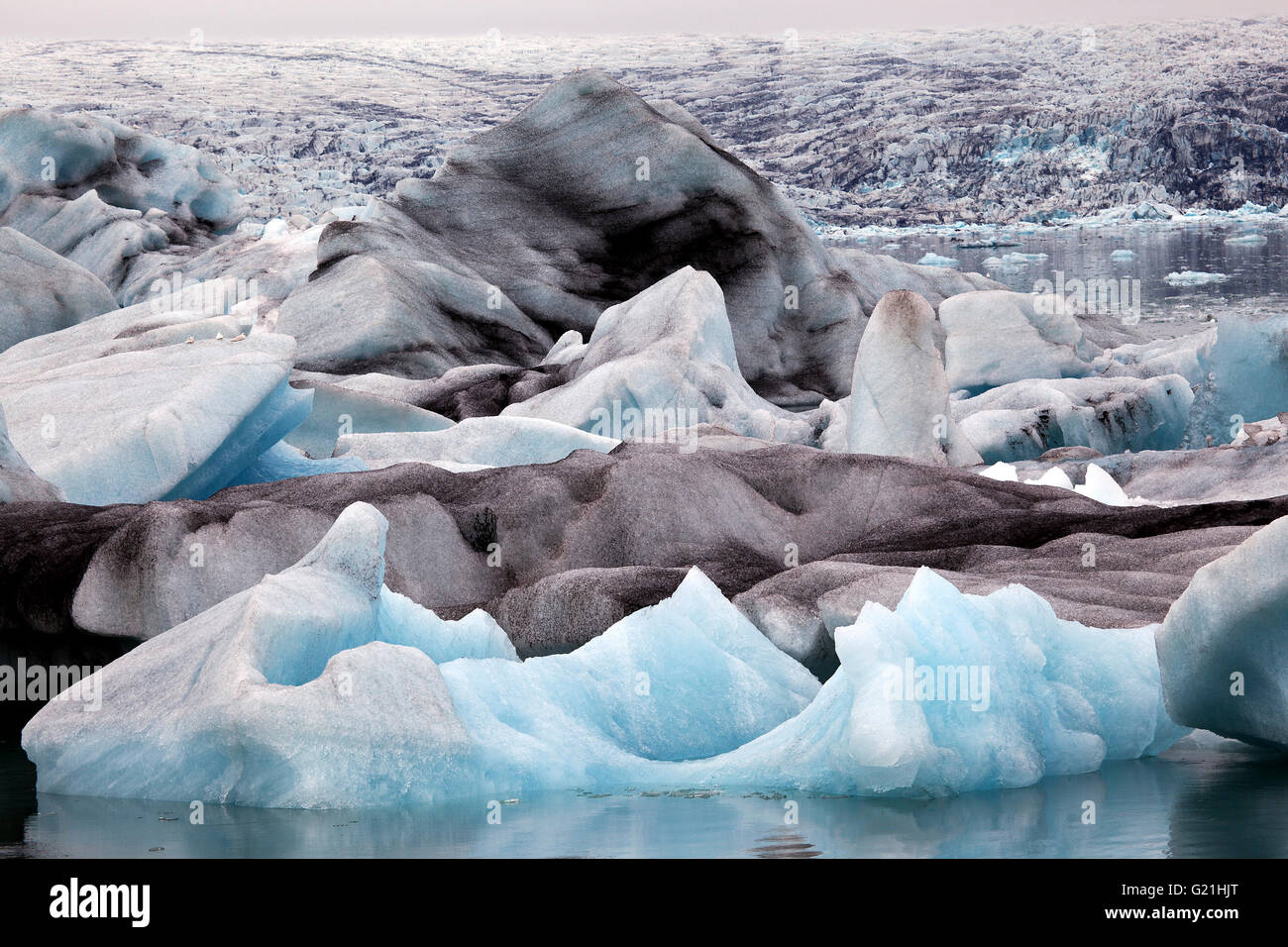 Ice Iceberg, con tracce di ceneri vulcaniche, ghiacciaio, il lago glaciale del ghiacciaio Vatnajökull, Jökulsarlon, Islanda Foto Stock