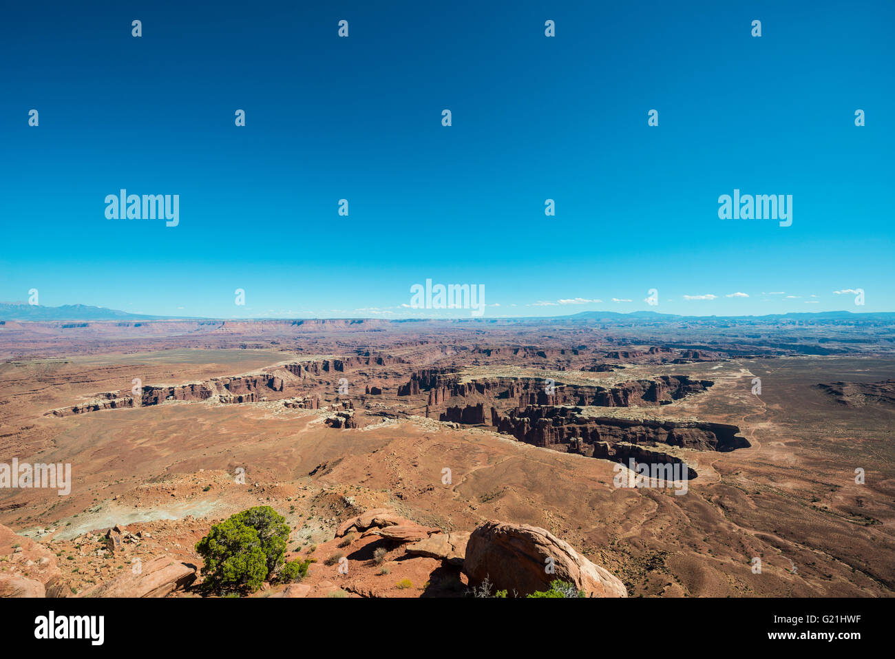 Robusto Green River Canyon, Canyon paesaggio, paesaggio eroso, formazioni rocciose, monumento bacino, White Rim, Island in the Sky Foto Stock