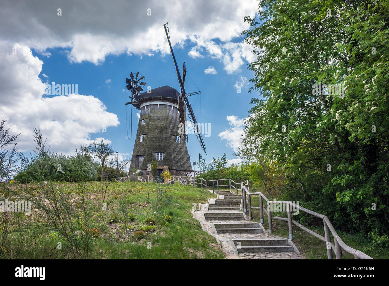Un mulino a vento sull'isola di Usedom in Benz (Germania) Foto Stock