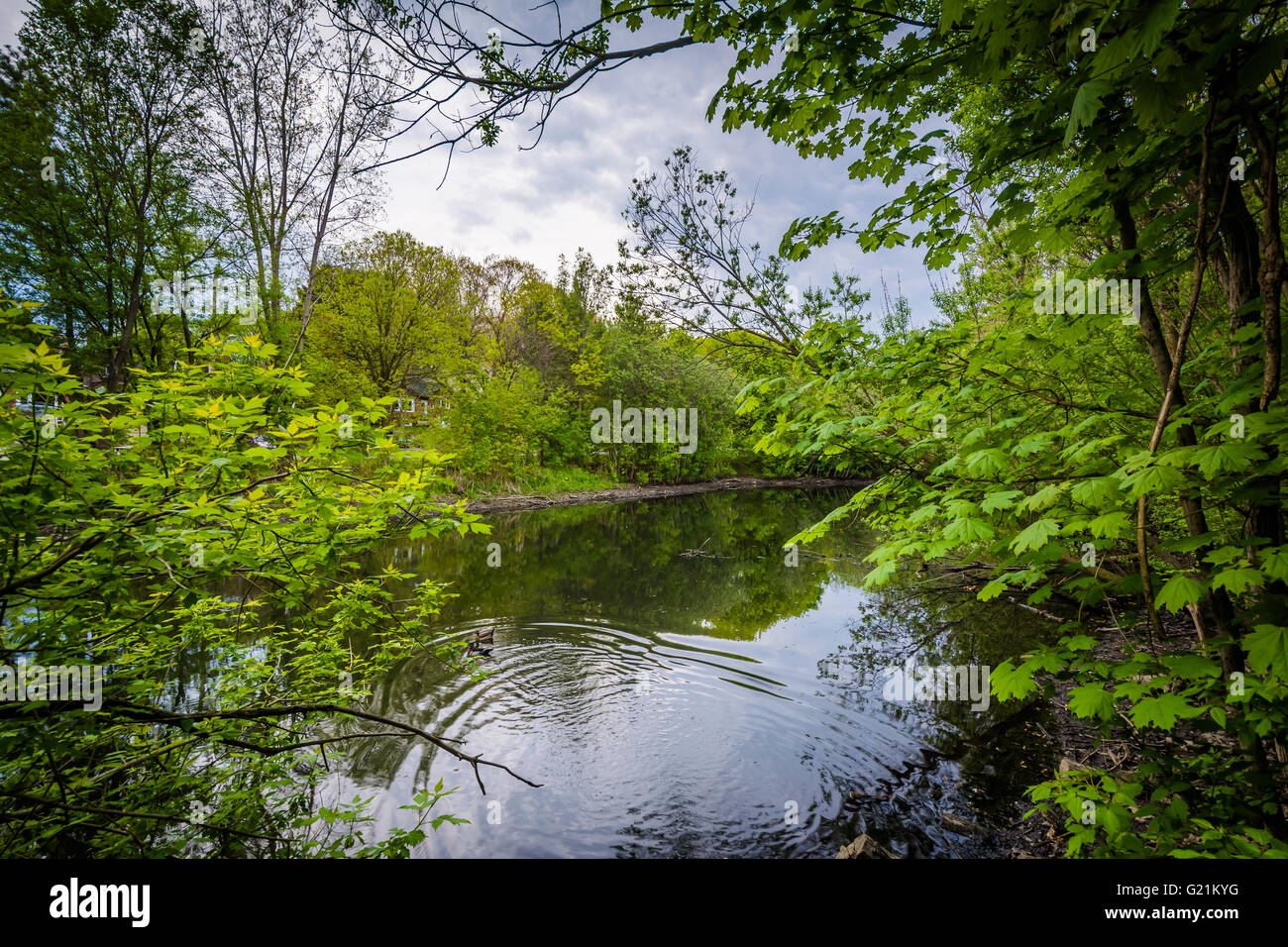 Wendigo Stagno ad alta Park, Toronto, Ontario. Foto Stock