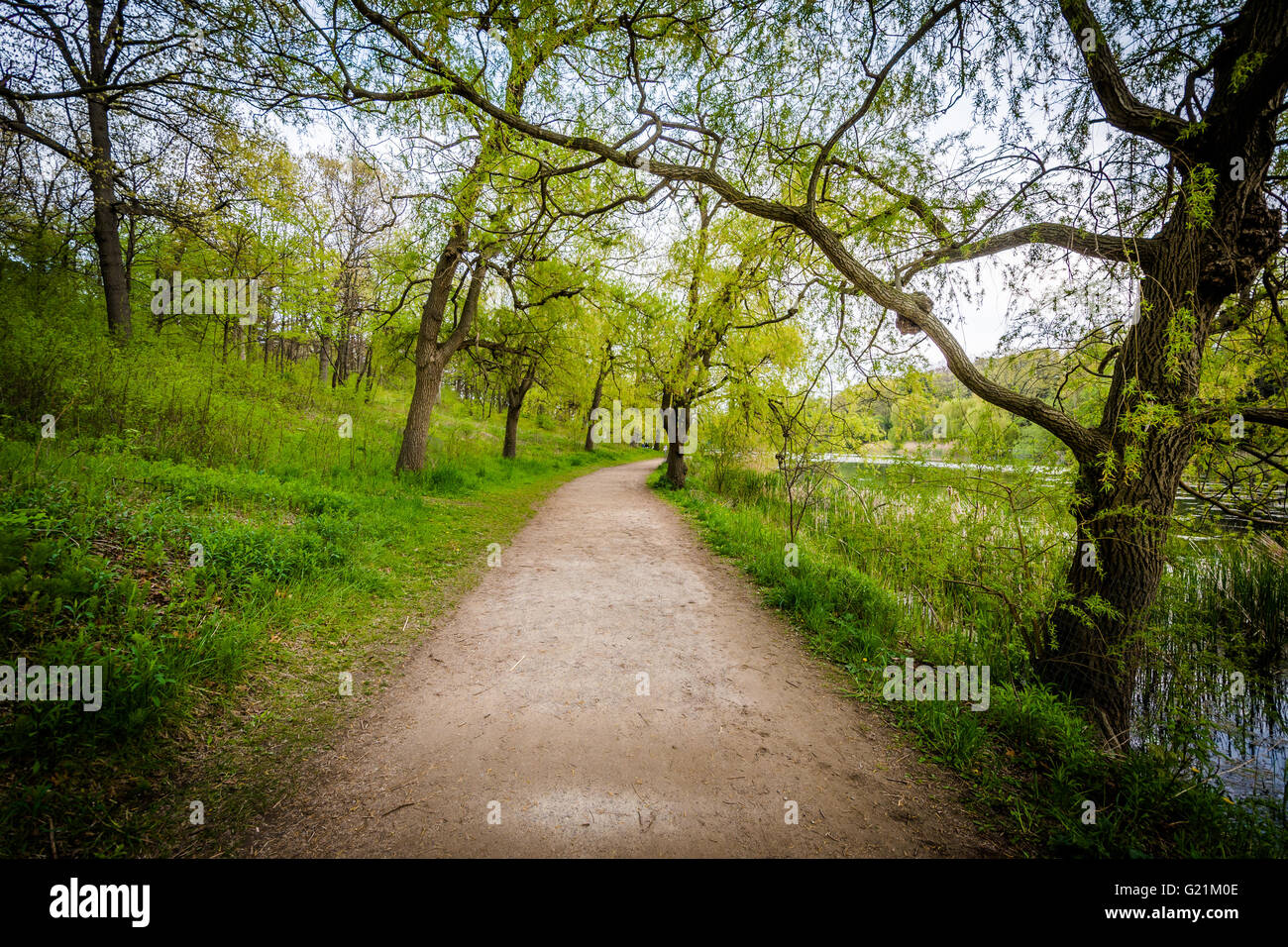 Sentiero ad alta Park, Toronto, Ontario. Foto Stock