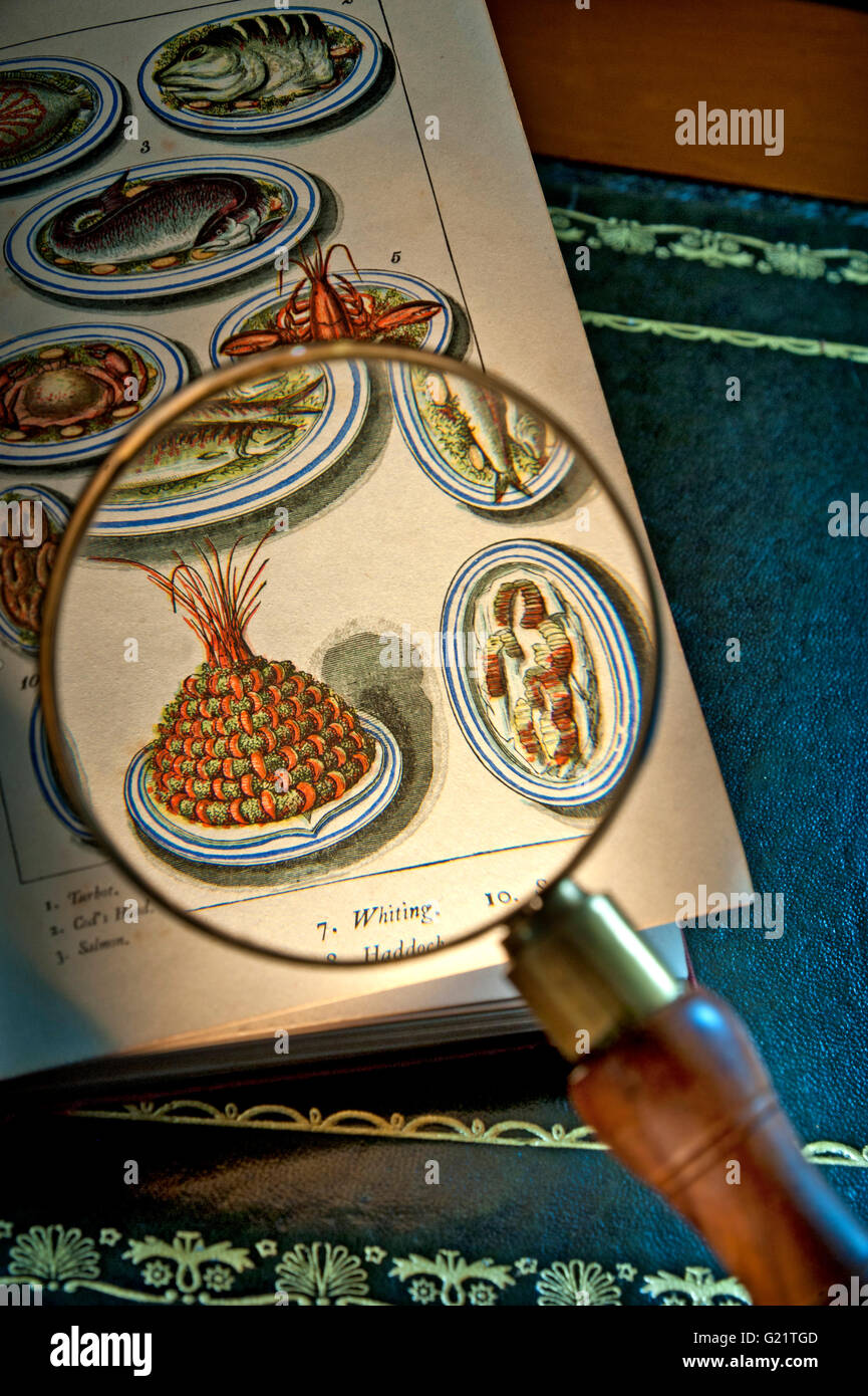 Litografia vittoriano illustrazione di lusso piatti di pesce con presentazione di gamberetti e aggraffata Skate Warnes Ricettario del novecento Foto Stock