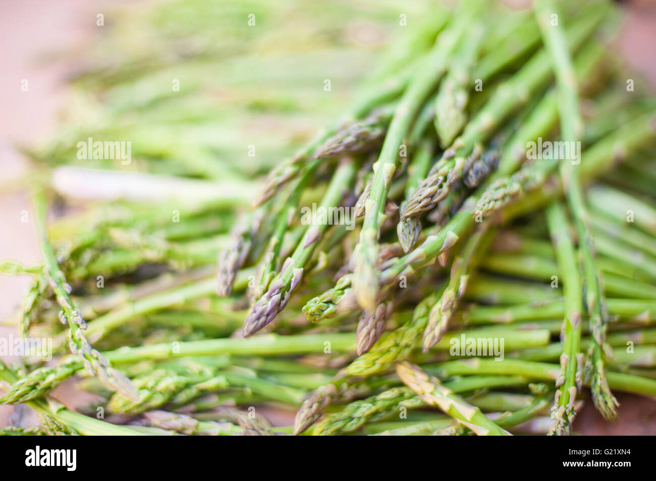 Mazzetto di freschi Asparagi verdi vegetali messa a fuoco selettiva Foto Stock