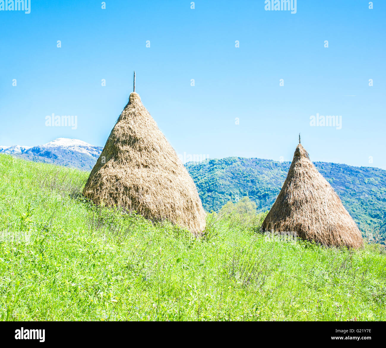Pagliaio tradizionali dei villaggi di montagna nelle Alpi italiane. Foto Stock