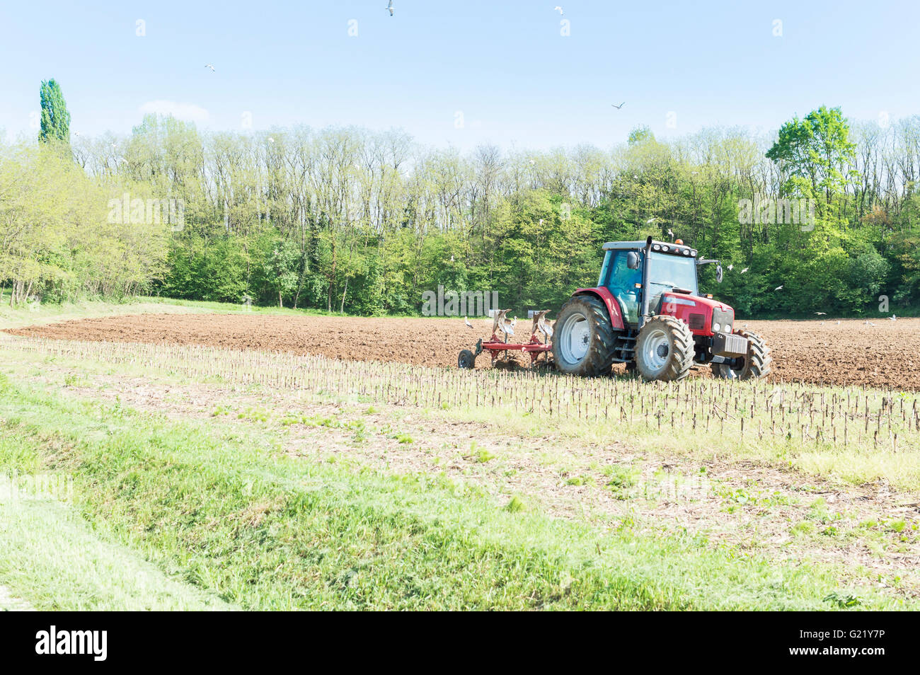 Lavori agricoli. Le piccole aziende agricole con il trattore e aratro nel campo Foto Stock