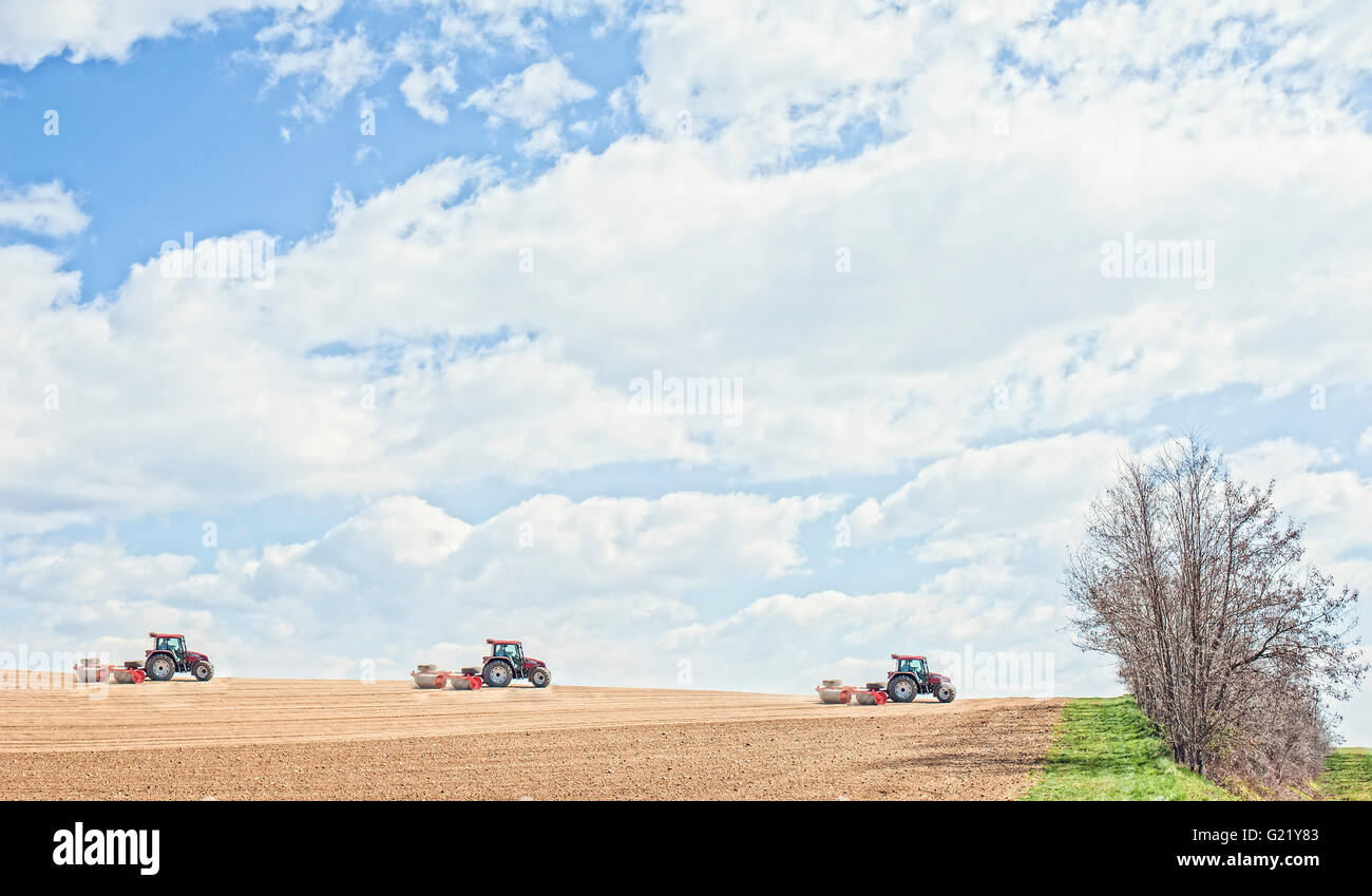 Lavori agricoli. Il trattore comprime il terreno dopo la semina con rulli. Foto Stock