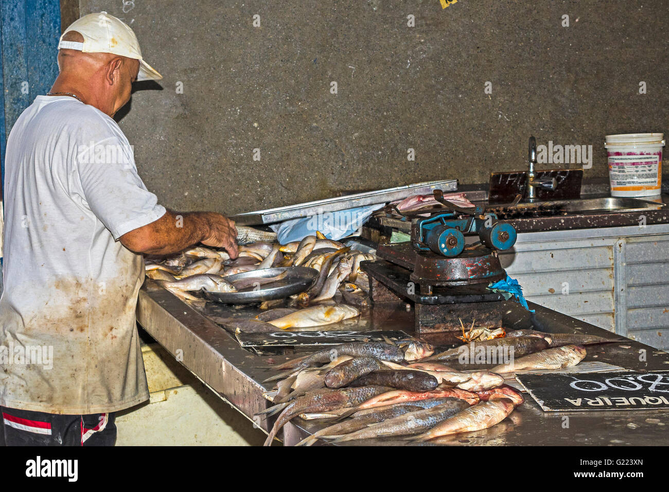Uomo che lavora presso il negozio di pesce il Ver o mercato in pesos Belem Brasile Foto Stock
