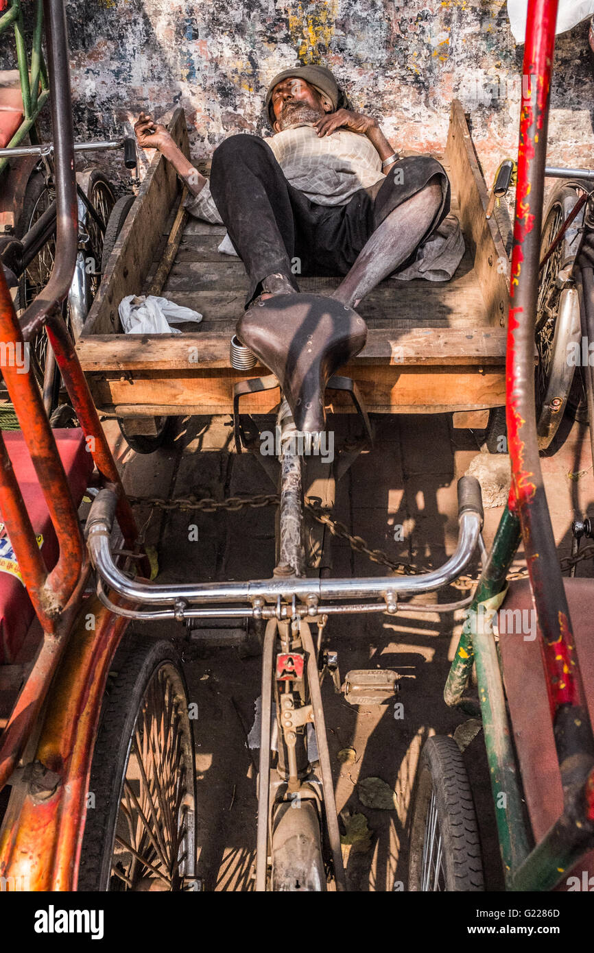 Uomo dorme sulla sua bicicletta carrello in Delhi, India Foto Stock