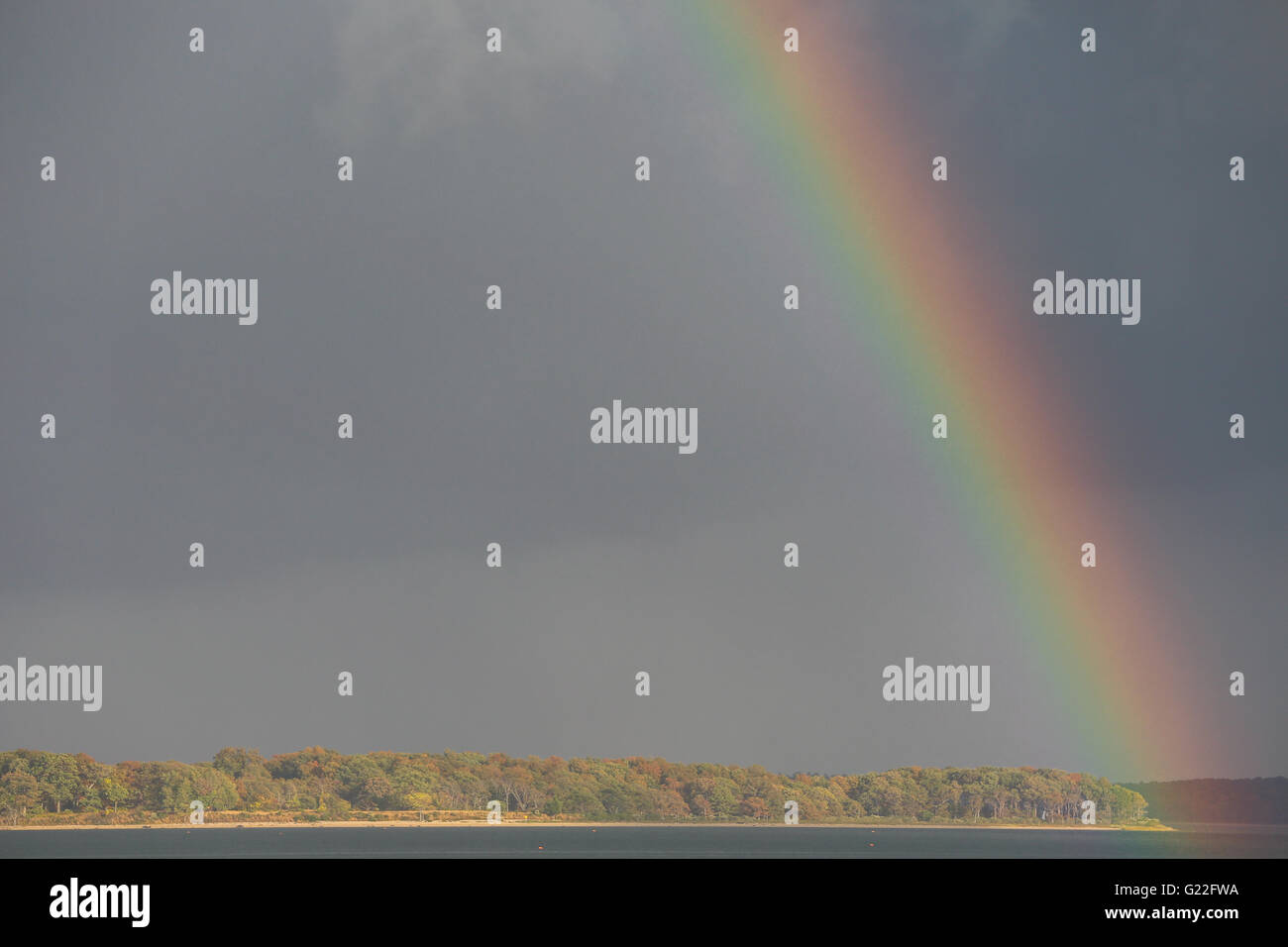 L'arcobaleno in un cielo scuro su un incontaminato paesaggio di legno con acqua Foto Stock