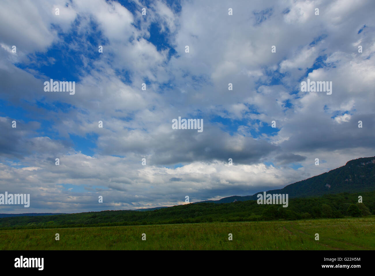 Sky erba verde blu del campo cloud prato prato estate luce solare rurale della campagna impianto nuvoloso paese bellissima natura cloudscape Foto Stock