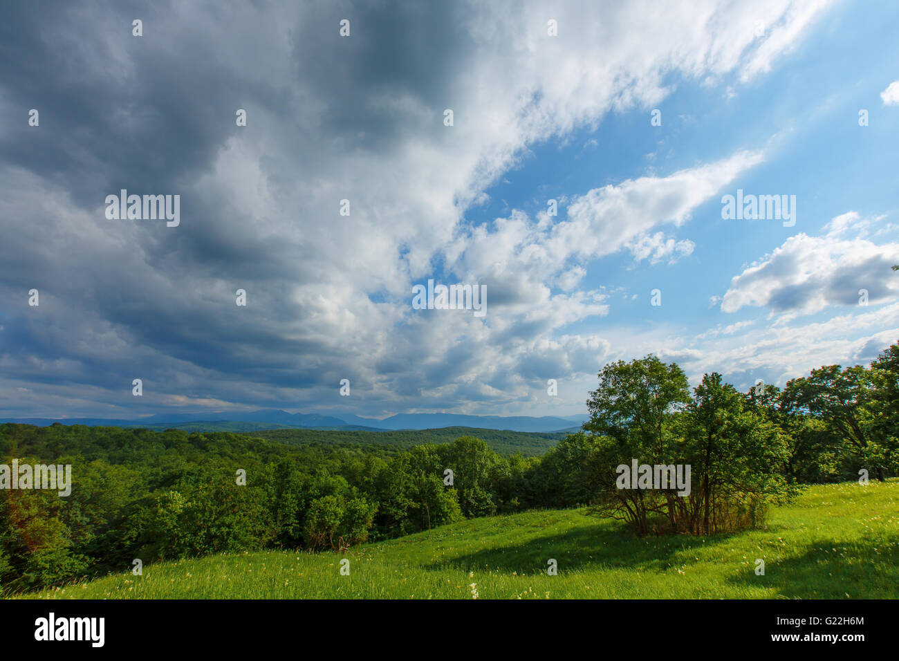 Sky erba verde blu del campo cloud prato prato estate luce solare rurale della campagna impianto nuvoloso paese bellissima natura cloudscape Foto Stock