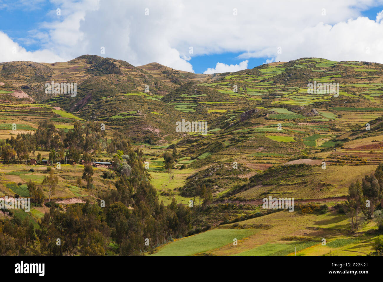 Campi coltivati al di sopra del villaggio andino di Misminay, Perù Foto Stock