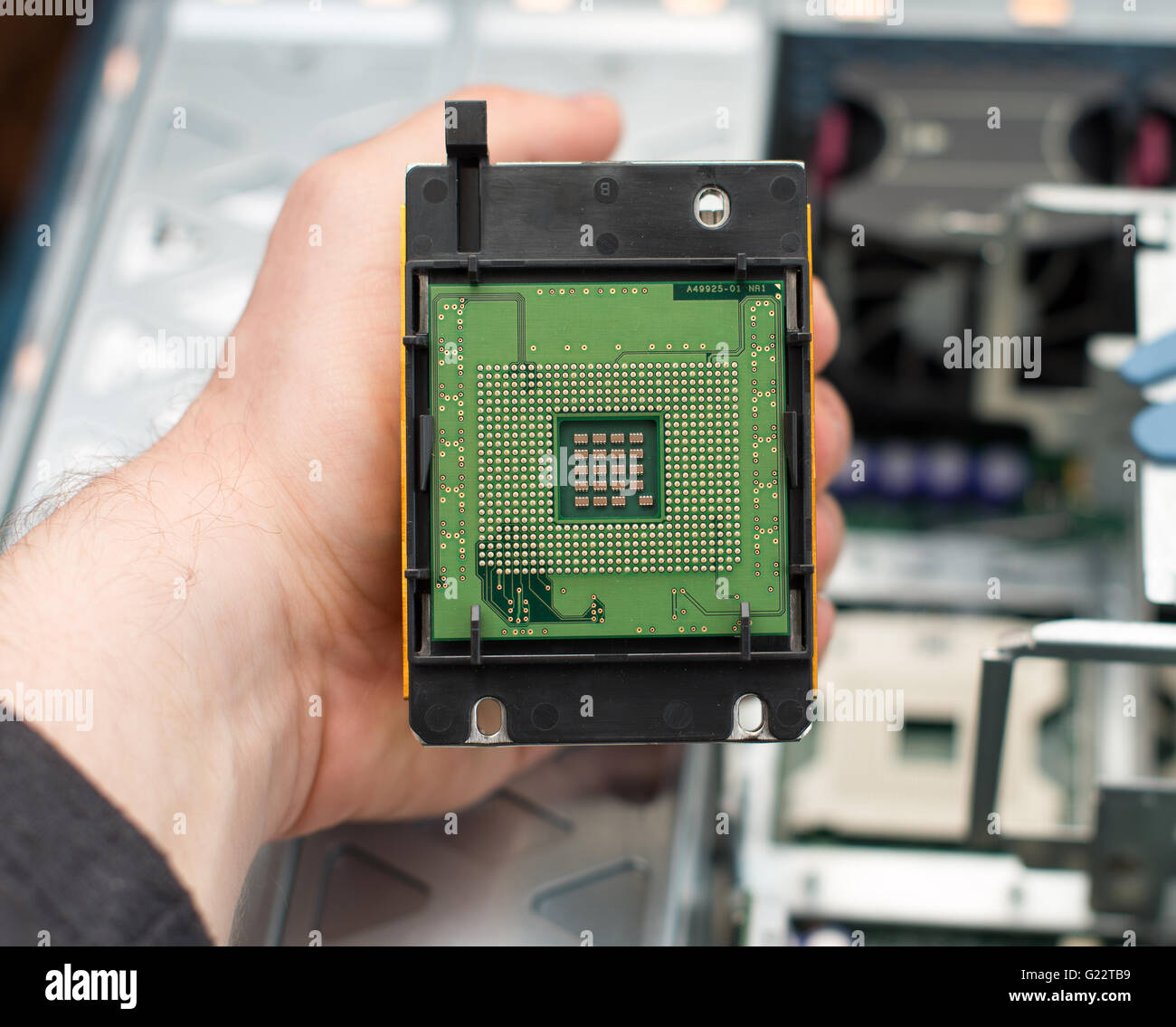 Tecnico informatico installazione di CPU nella scheda madre. Foto Stock