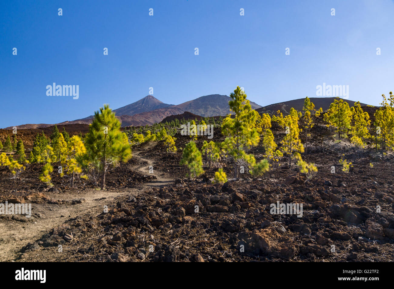 Il sentiero conduce attraverso aridi paesaggi vulcanici, El Teide e Pico Viejo cime sullo sfondo Foto Stock