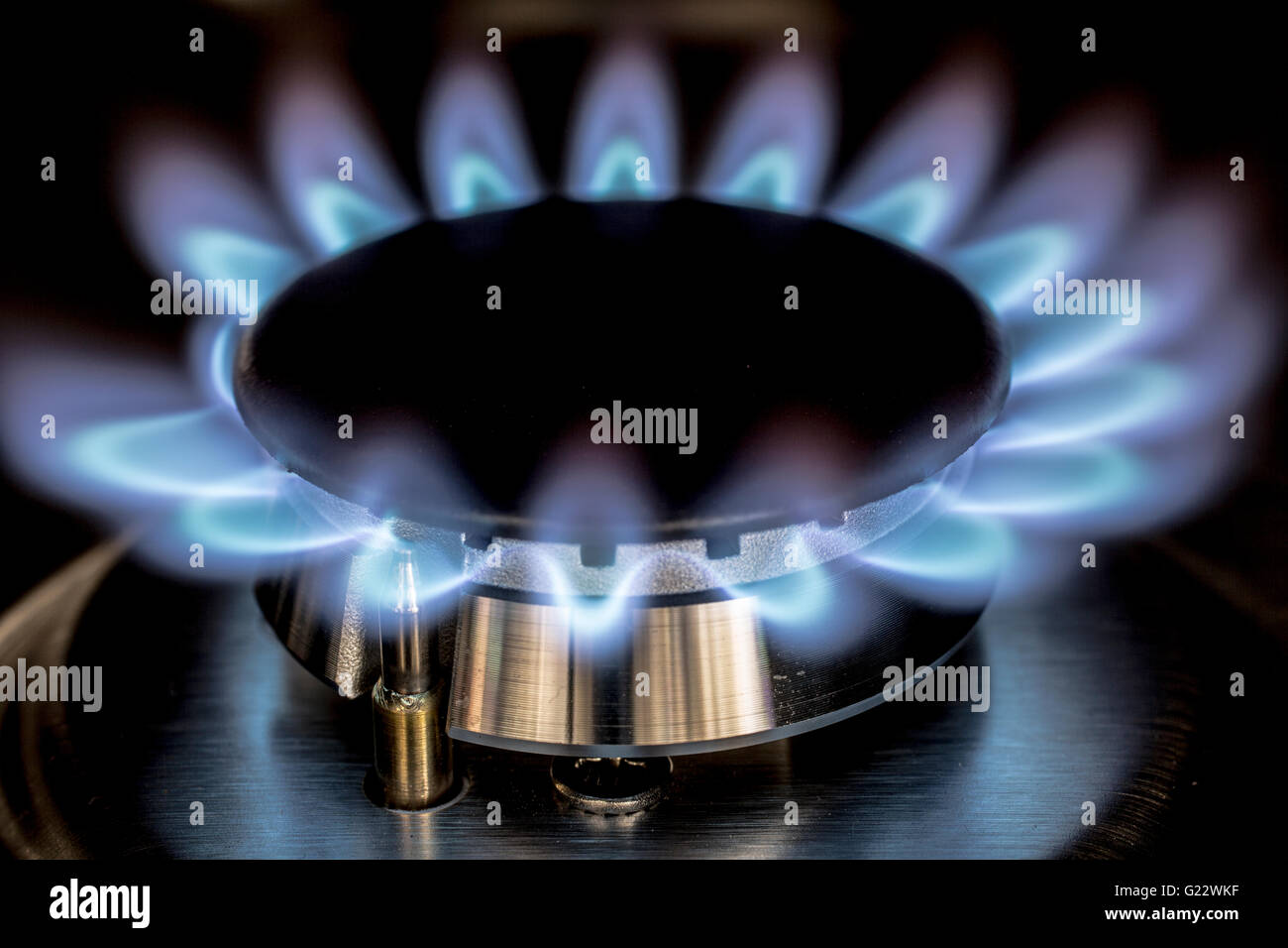 Servizi di pubblica utilità, anello di gas sulla masterizzazione di fornello a fiamma blu Foto Stock