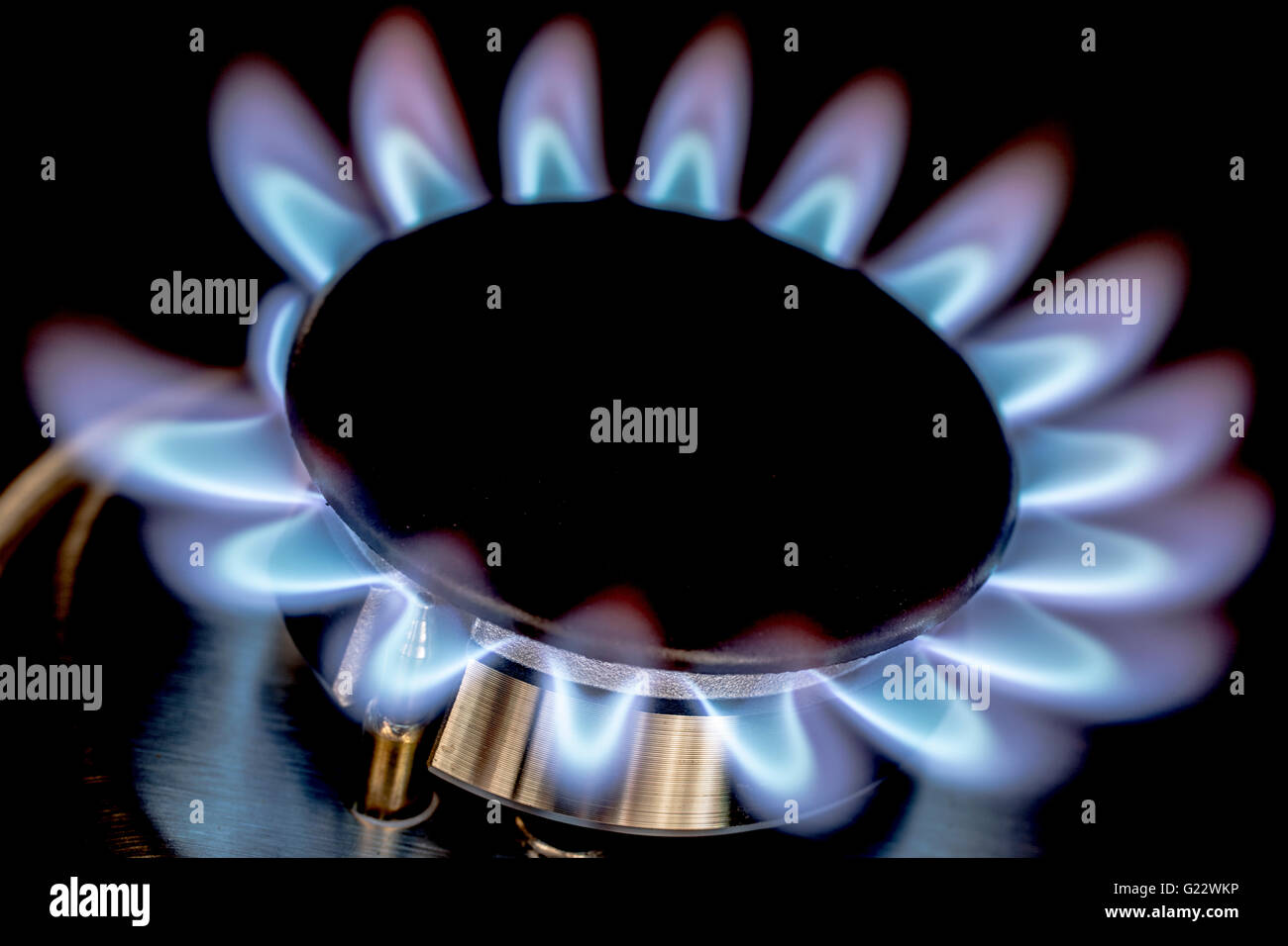 Anello di gas sul fornello, ravvicinata di una fiamma blu Foto Stock