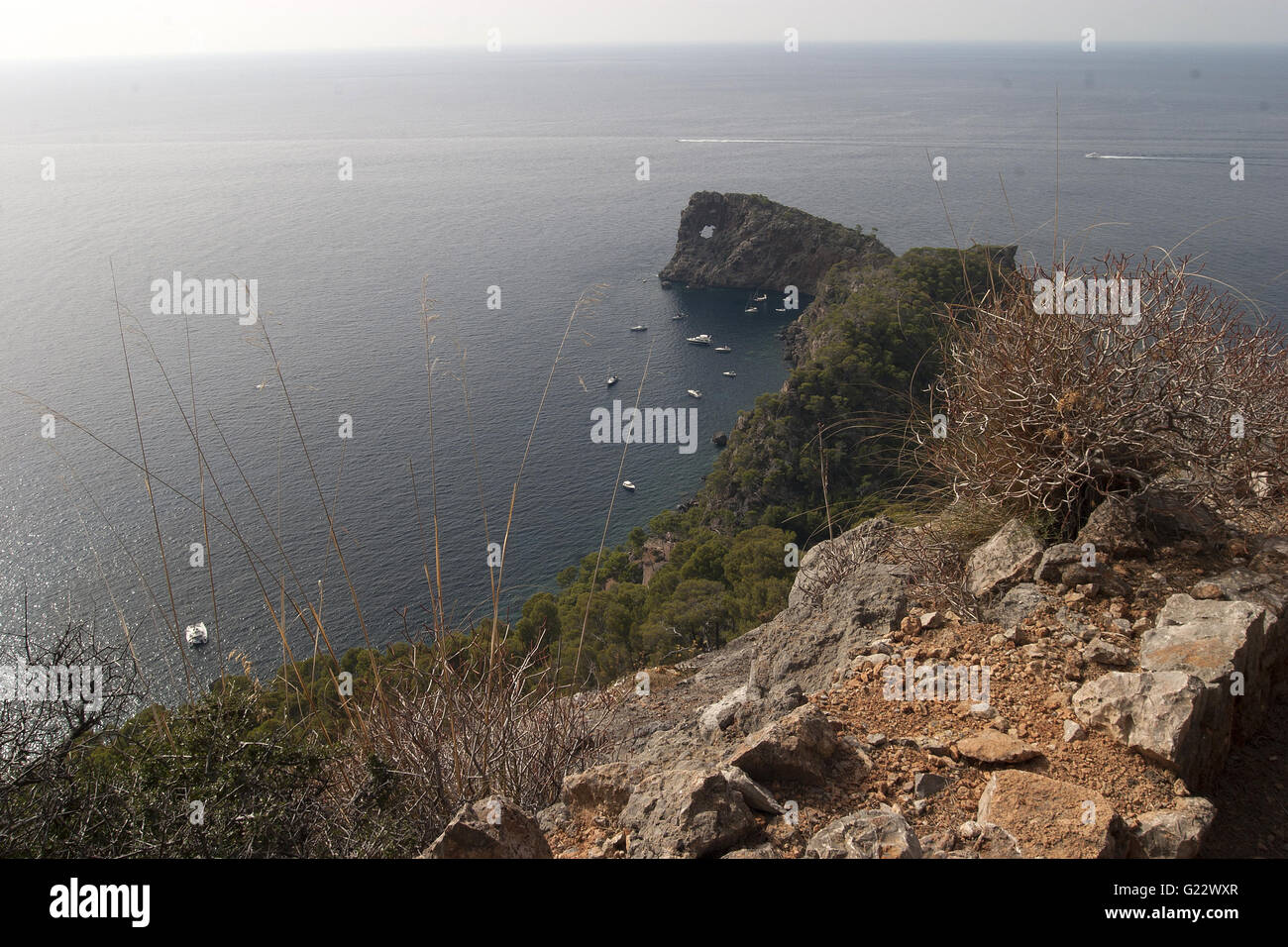 Una bella immagine delle coste mare blu con rocce e vegetazione in primo piano in Palma de Mallorca, Spagna, mare Foto Stock