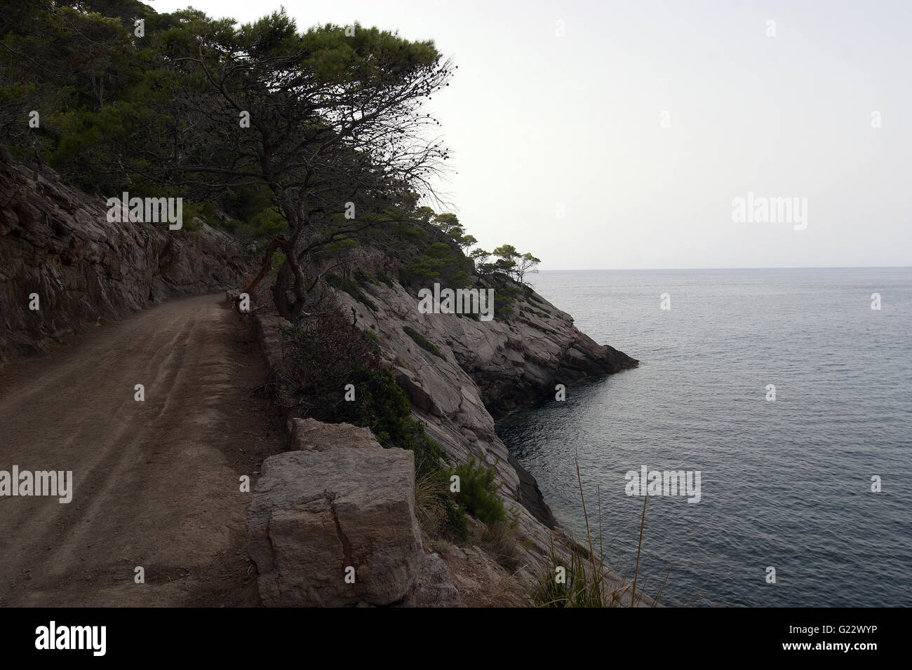 Una bella immagine di un sentiero con vegetazione oltre il mare calmo in Palma de Mallorca, Spagna, Mare, turismo e vacanze Foto Stock