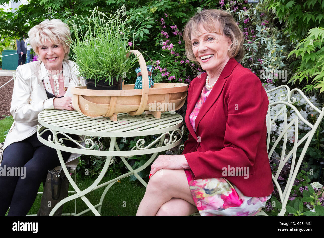 Londra, Regno Unito. Il 23 maggio 2016. Gloria Hunniford e Esther Rantzen. Premere il tasto Giorno della RHS Chelsea Flower Show. Il 2016 mostra è aperta al pubblico dal 24-28 maggio 2016. Credito: Immagini vibranti/Alamy Live News Foto Stock