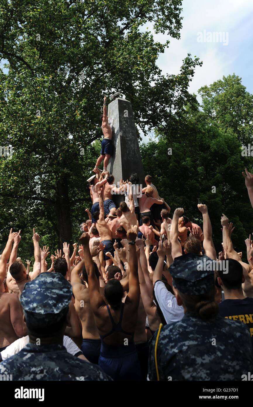 Annapolis, Maryland, Stati Uniti d'America. 23 Maggio, 2016. U.S Naval Academy matricole, noto come plebei, salire la Herndon monumento, una tradizione che simboleggia il completamento con successo di aspiranti guardiamarina freshman anno Maggio 23, 2016 in Annapolis, Maryland. Il plebes-no-più cerimonia implica lavorare insieme per scalare il monumento ingrassato e sostituire una plebe dixie-cup hat sulla parte superiore con una combinazione di copertura. Credito: Planetpix/Alamy Live News Foto Stock