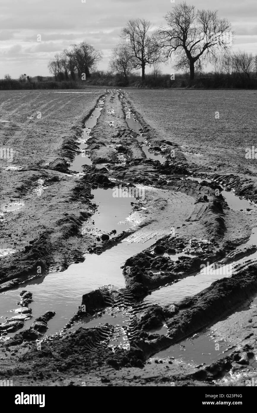 Agricoltura, campo umido fangoso di ingresso, campagna vita, stivali wellington, wellies, fango glorioso, agricoltori, trattori, rischi, reclami assicurativi, reati. Foto Stock