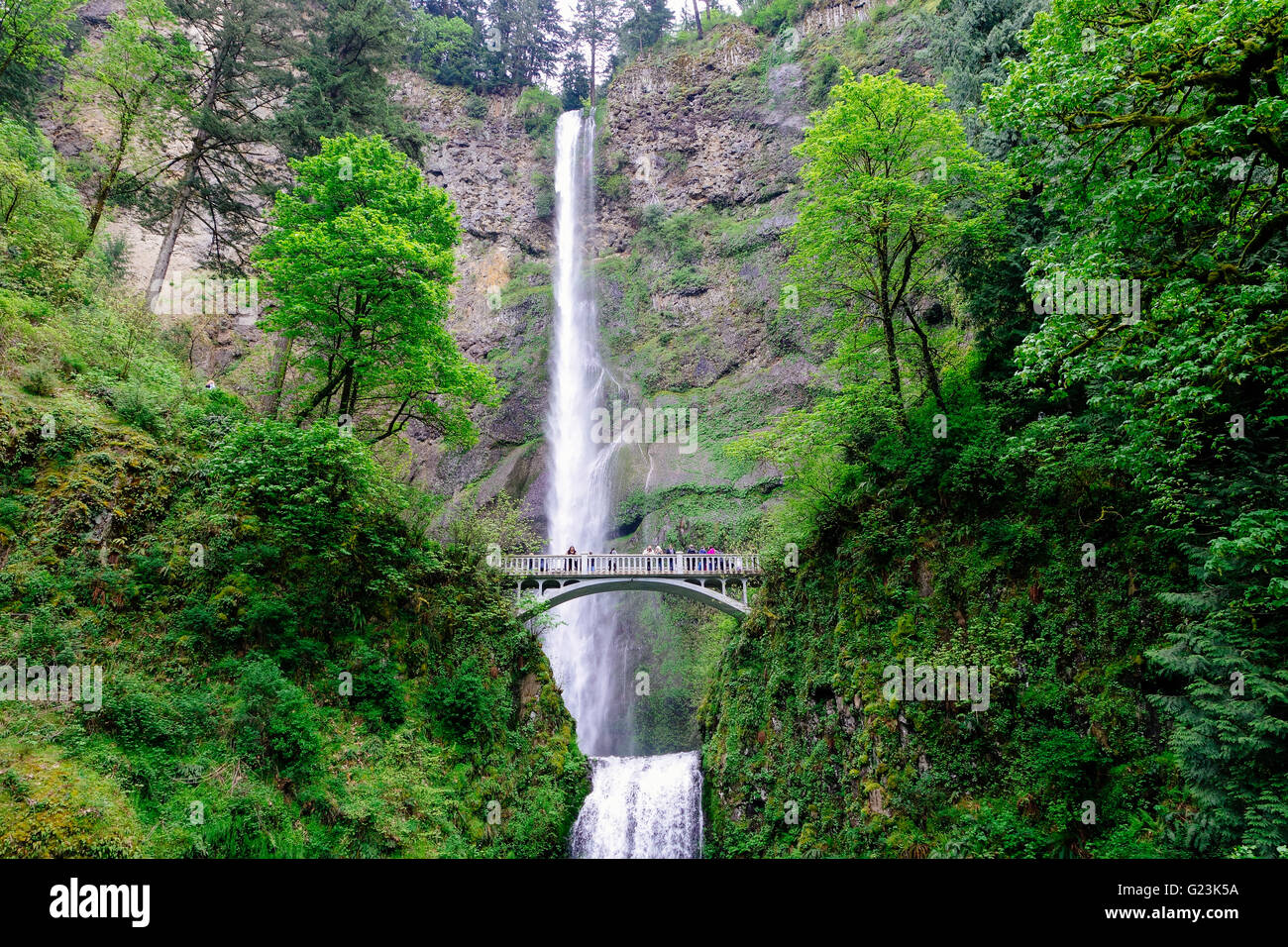 Multnomah acqua caduta Oregon Foto Stock