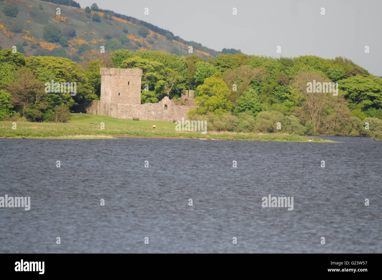 Loch Leven Castle Loch Leven Fife Scozia centrale Maggio 2016 Foto Stock