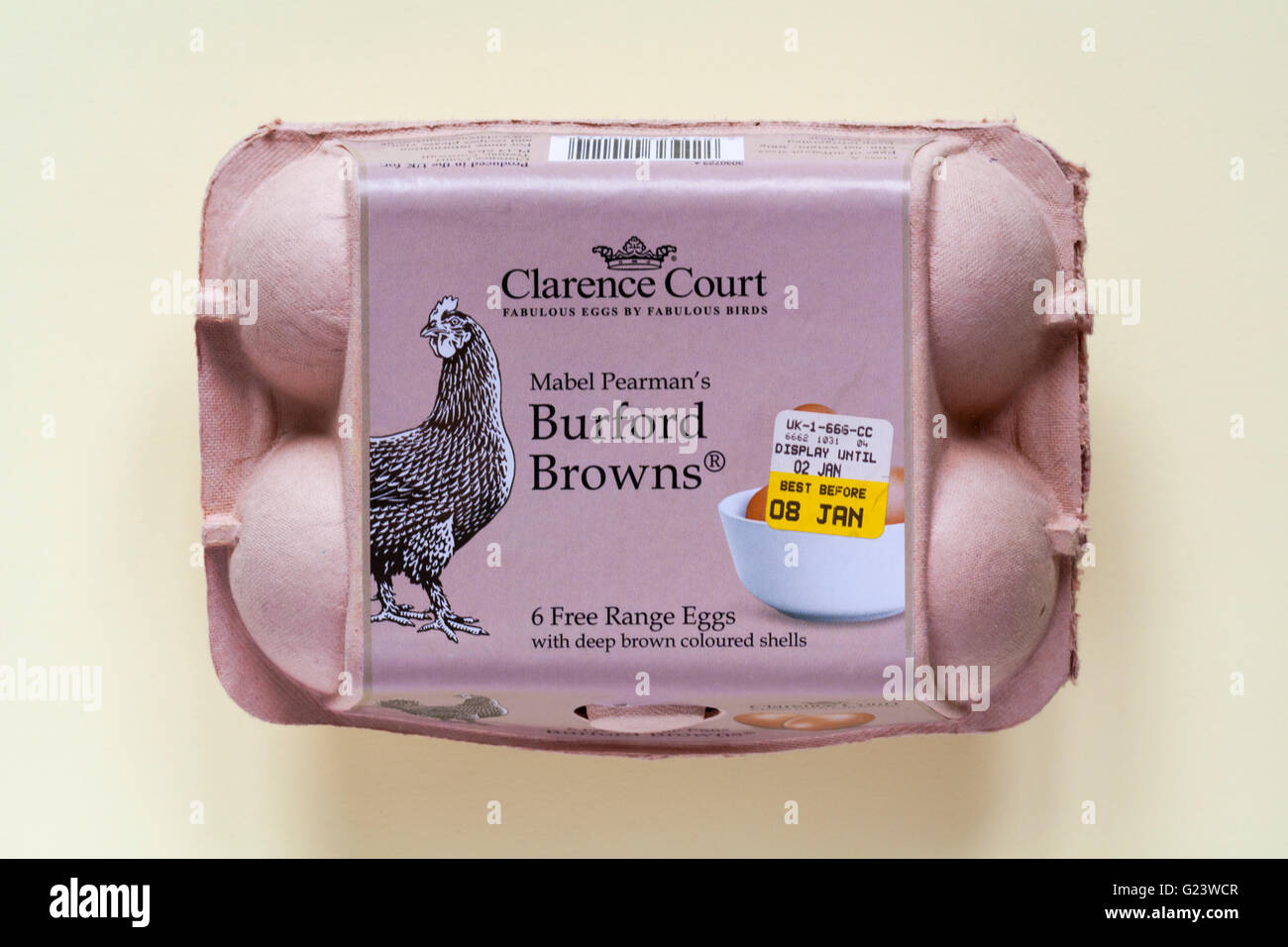 Cartone di Clarence Court Mabel Pearman's Burford Browns 6 Free Range uova con deep color marrone gusci isolato sul giallo pallido sfondo - scatola di uova Foto Stock