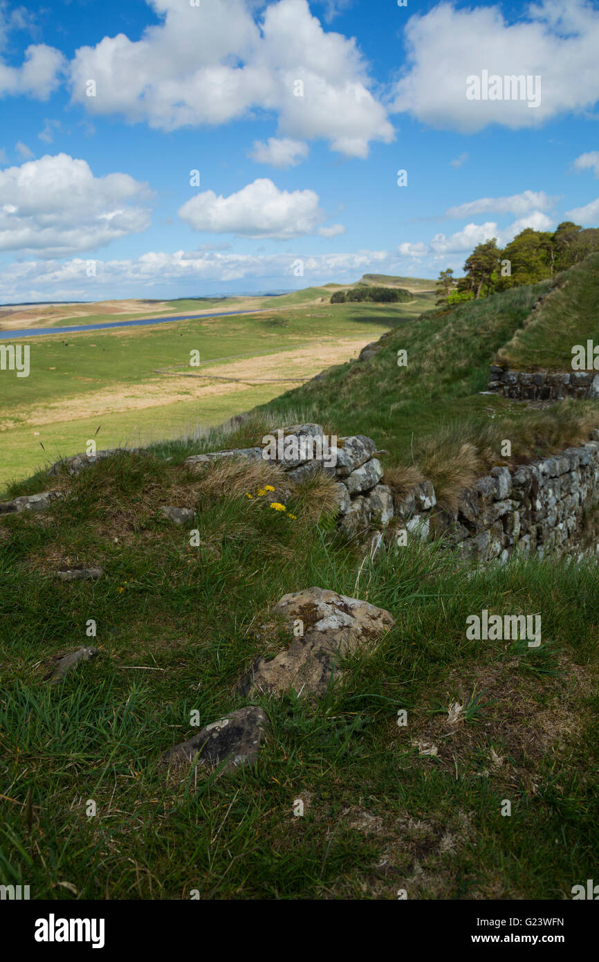 Ombre fallijng attraverso la parete di Adriano in Northumberland Foto Stock