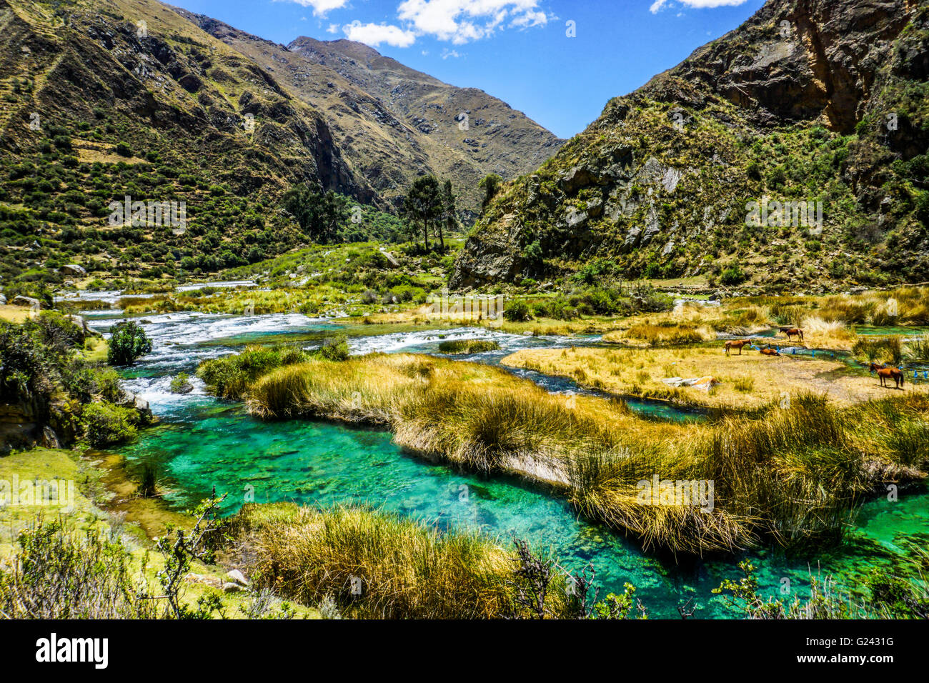 Paesaggi acquatici nelle Ande peruviane. Fotografato vicino a Huancayo, Perù Foto Stock
